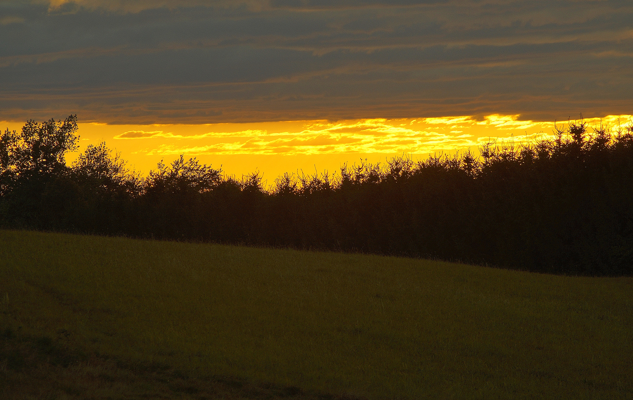 Sony SLT-A58 sample photo. Golden sky! photography