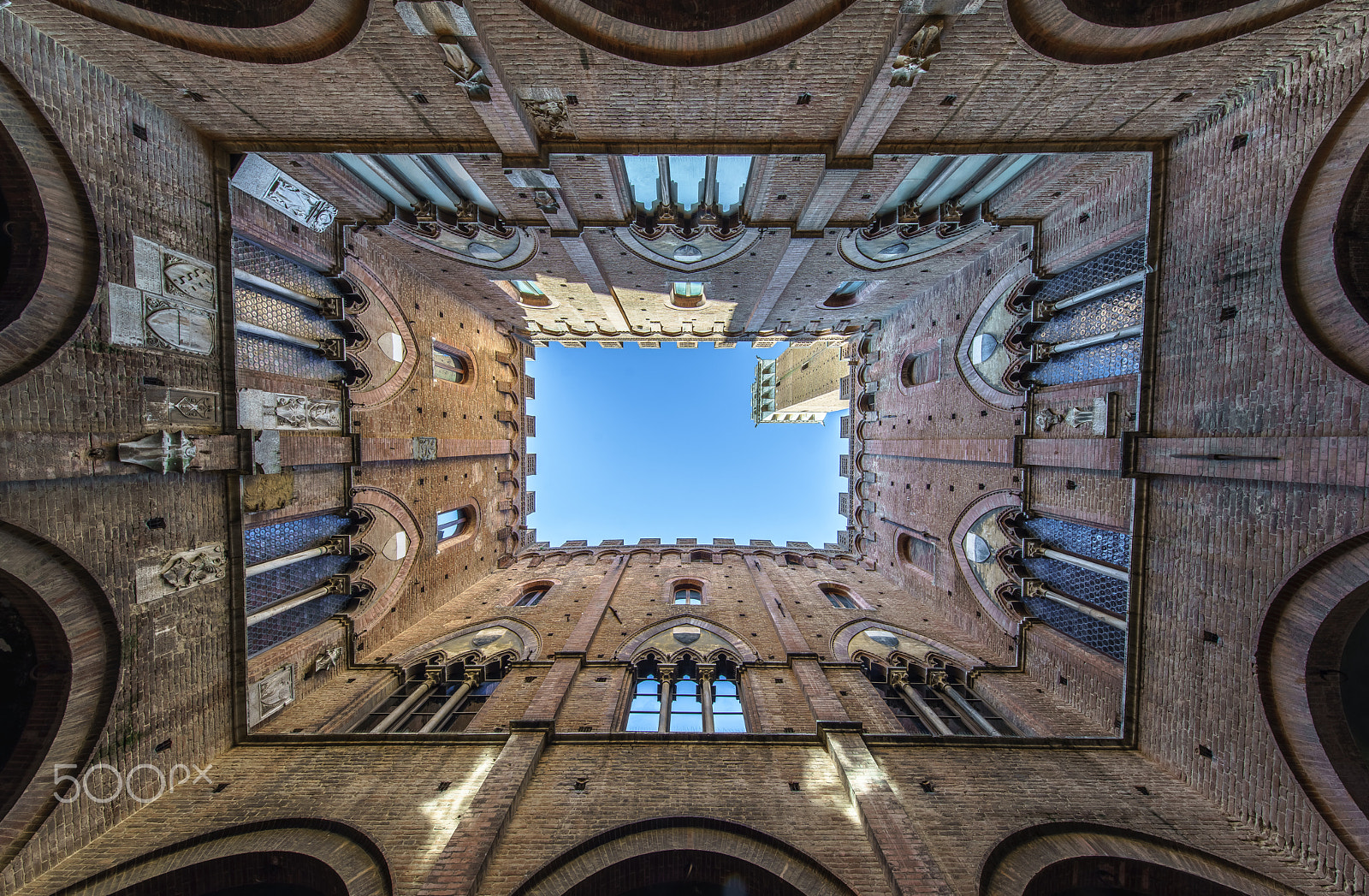 Sony a7R II + Canon EF 11-24mm F4L USM sample photo. View to the sky photography