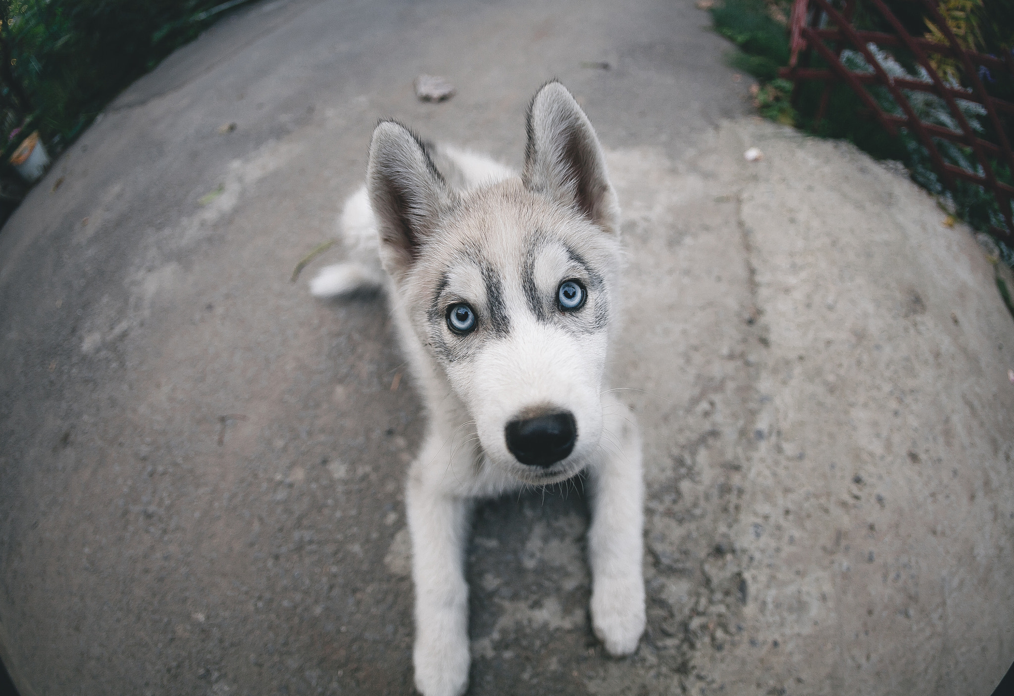 Canon EOS 5D + Canon EF 15mm F2.8 Fisheye sample photo. Rich photography