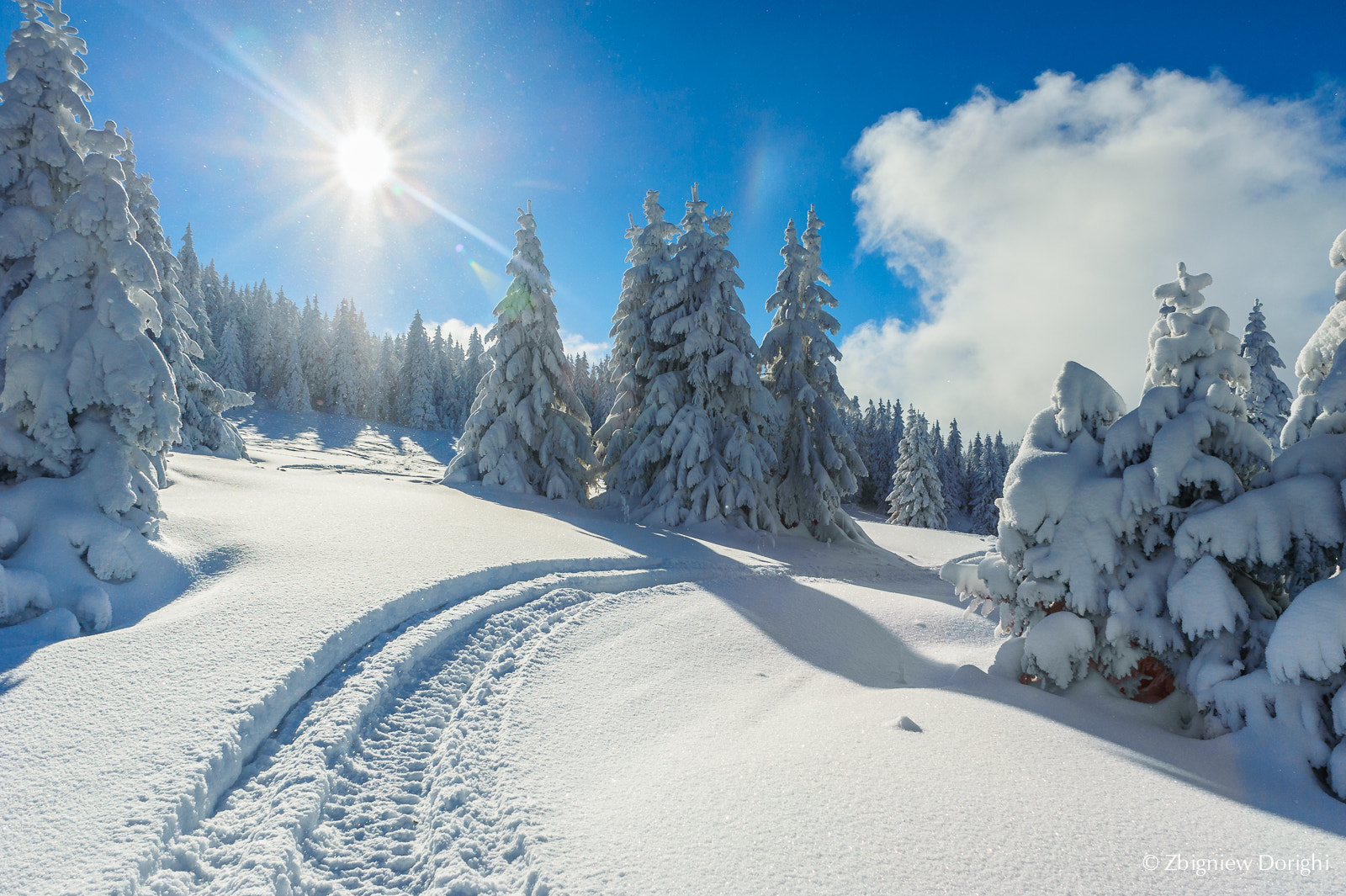 Nikon D700 + Sigma 24mm F1.8 EX DG Aspherical Macro sample photo. Winter landscape in polish beskidy mountains. photography
