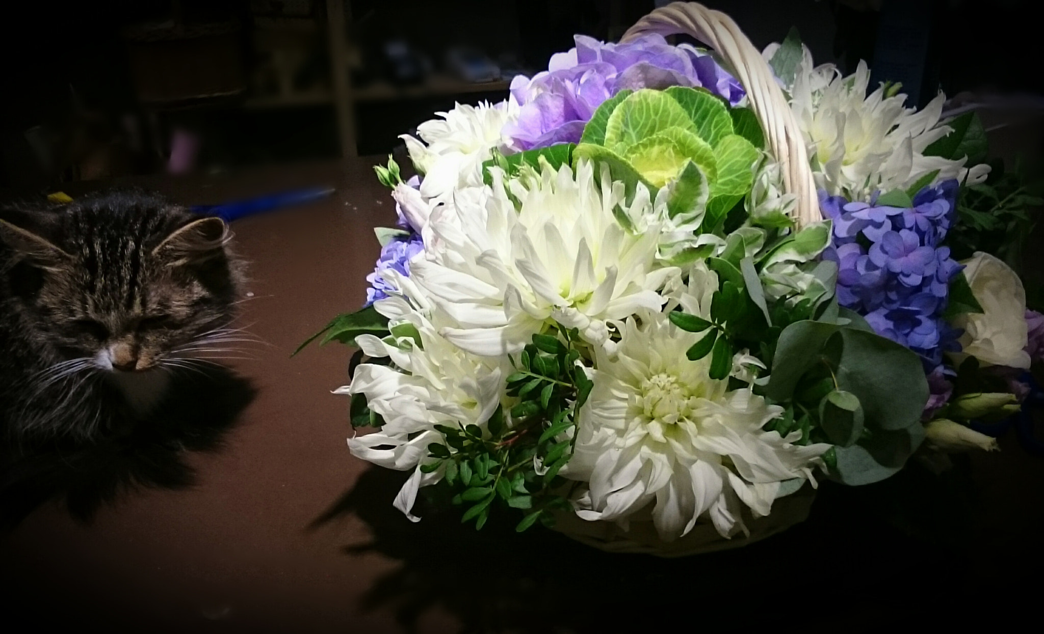 Sony Xperia Z Ultra sample photo