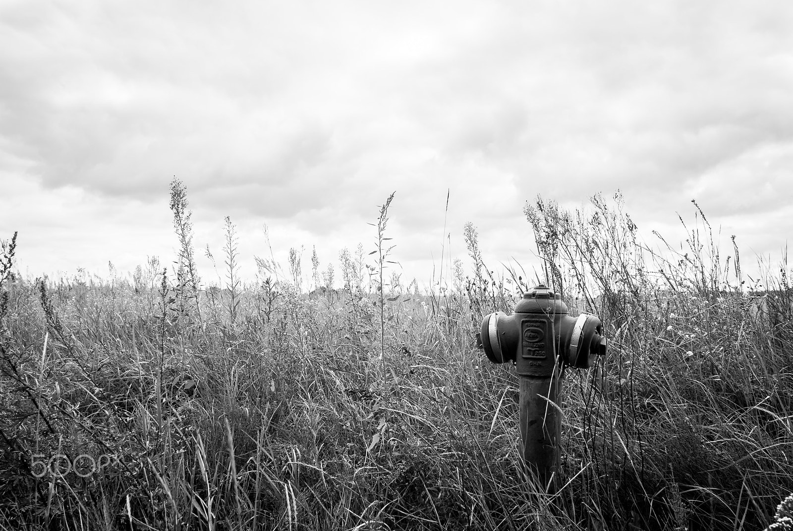 Nikon D80 + Nikon AF Nikkor 20mm F2.8D sample photo. In the field photography