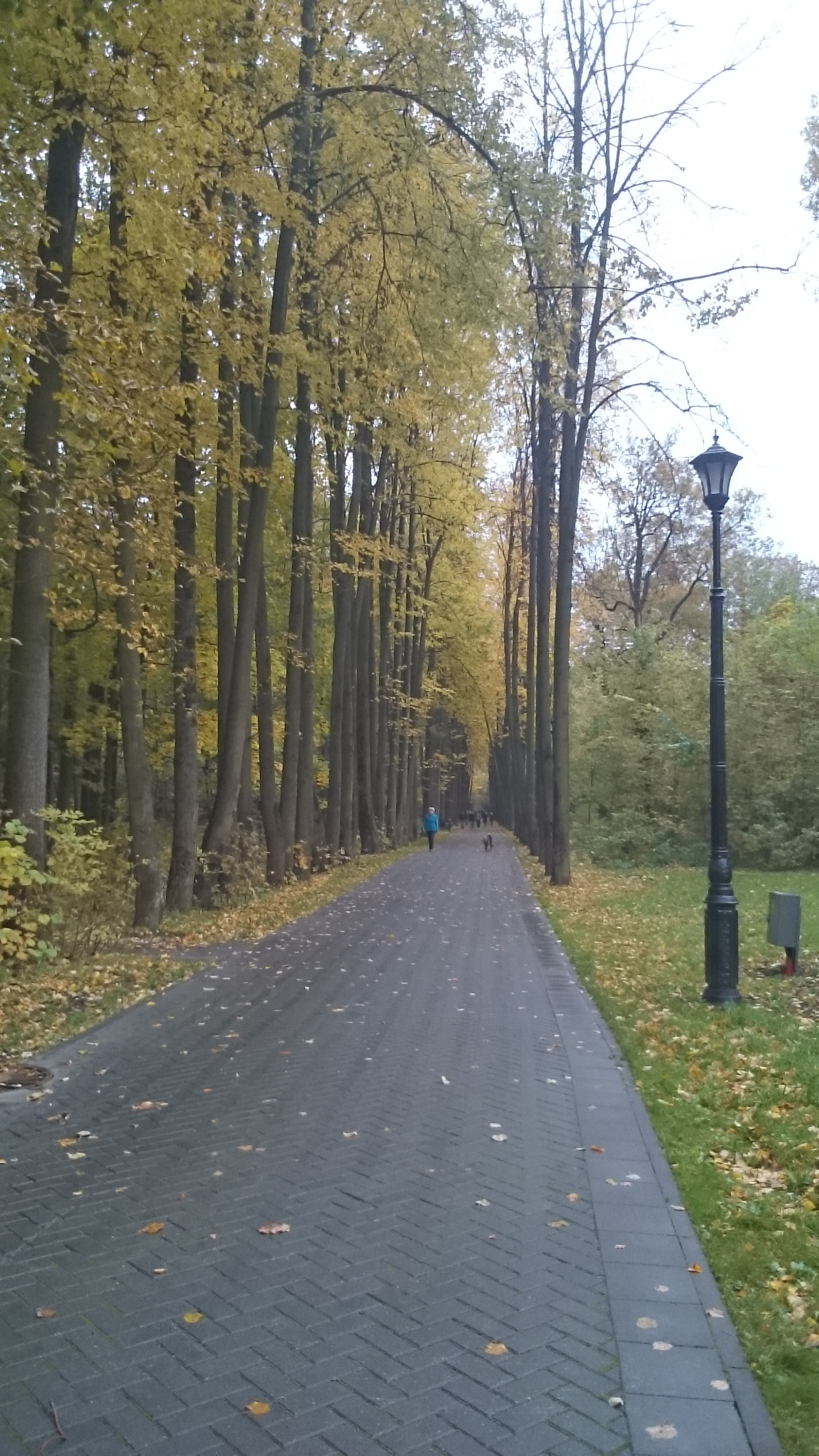 Sony Xperia Z Ultra sample photo