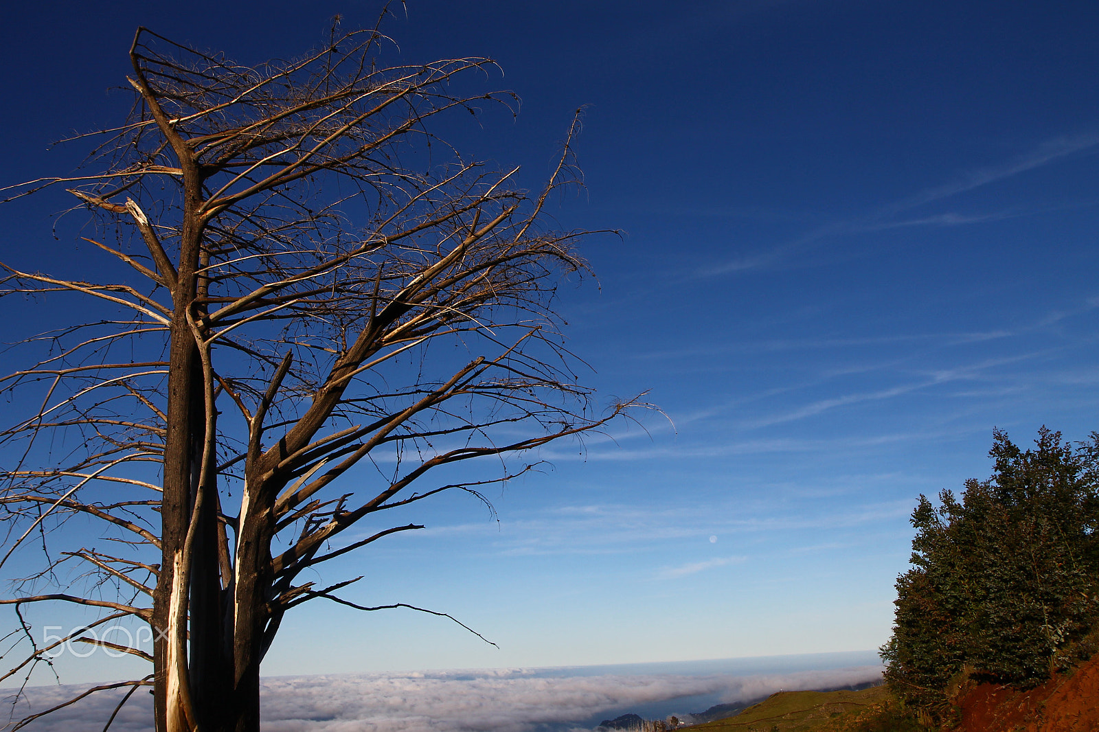 Canon EF-S 17-55mm F2.8 IS USM sample photo. Madeira island photography