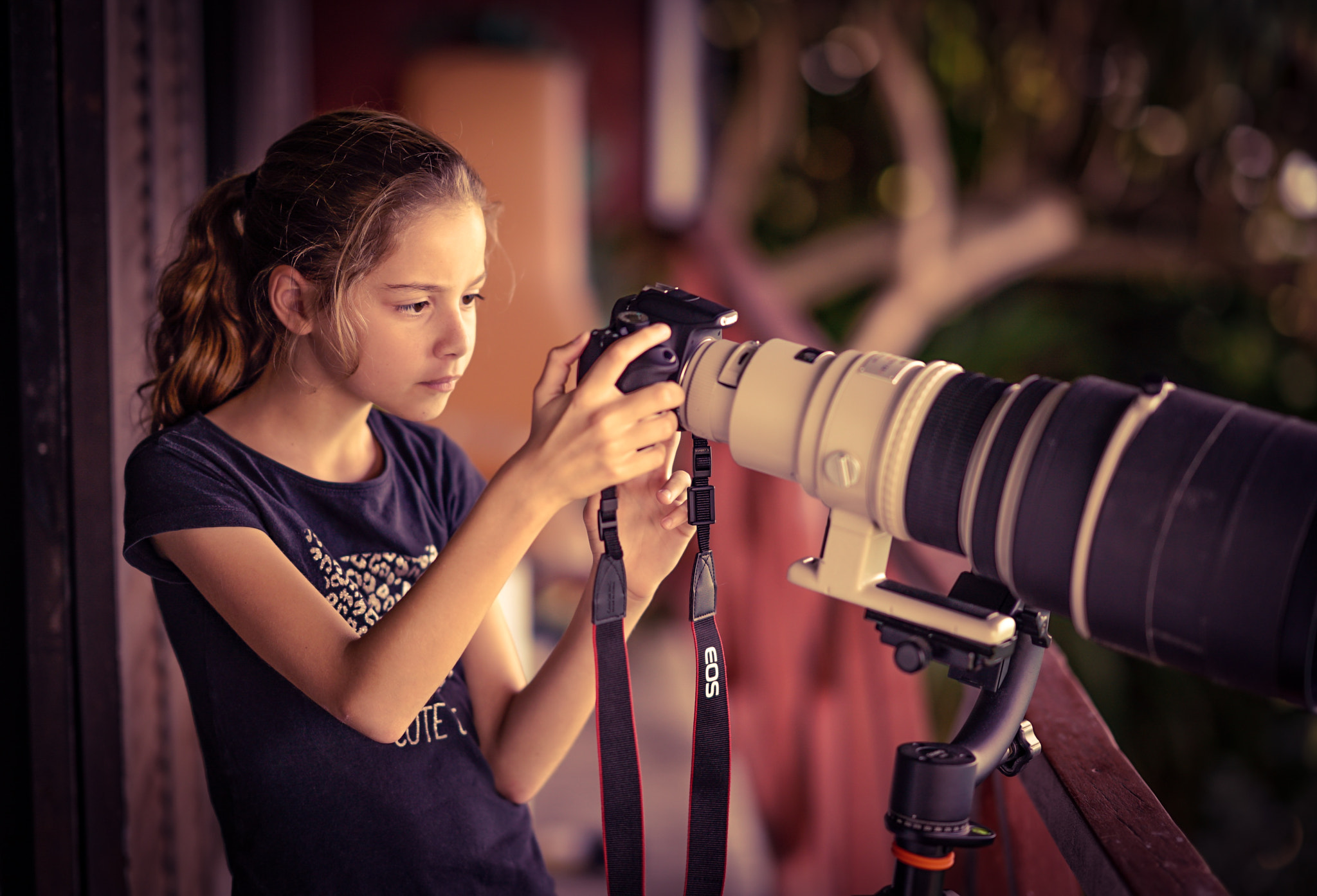 Sony FE 85mm F1.4 GM sample photo. Never too big! photography