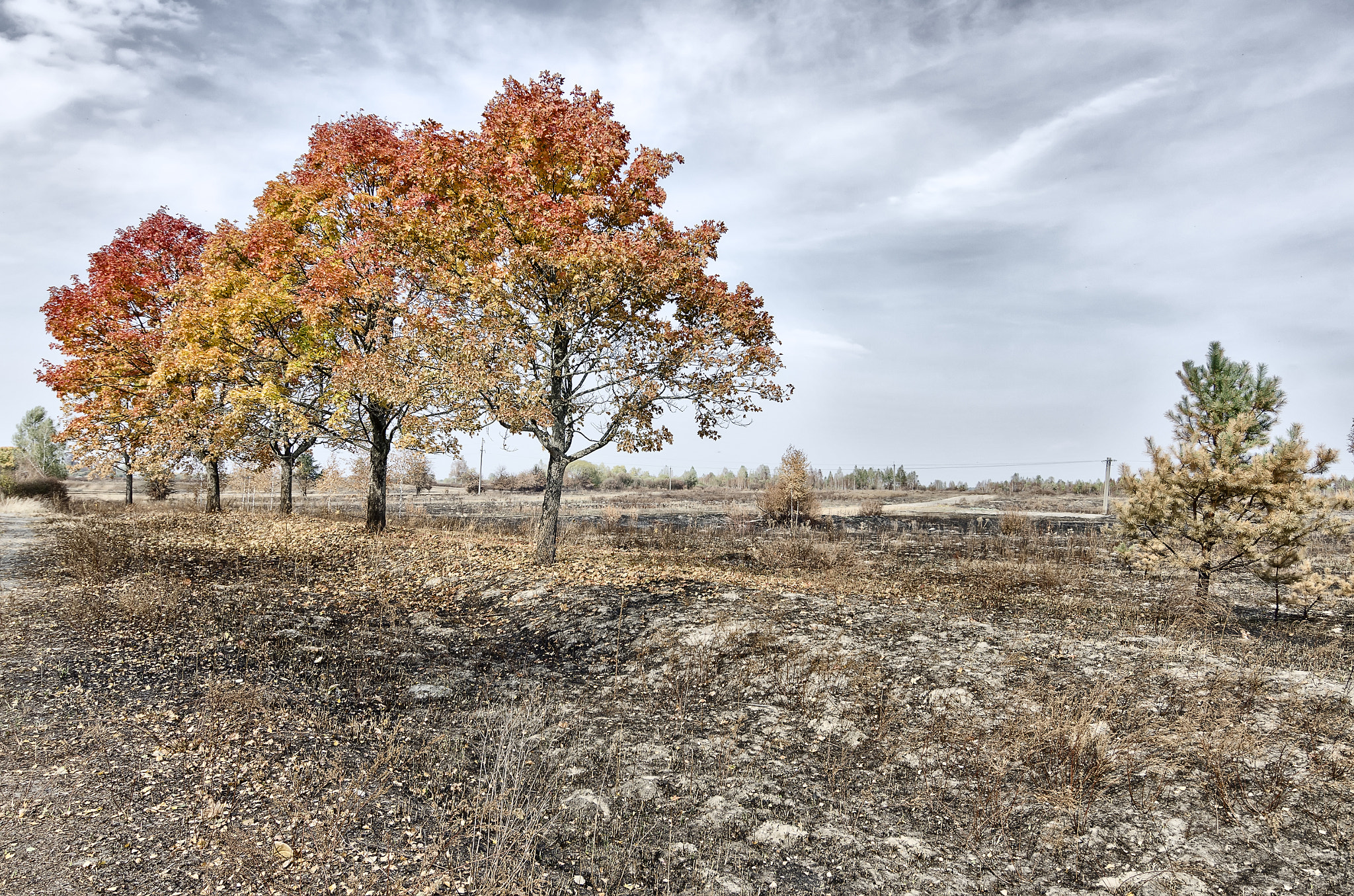 Nikon D7000 + Tokina AT-X 12-28mm F4 Pro DX sample photo. Autumn in ukraine photography