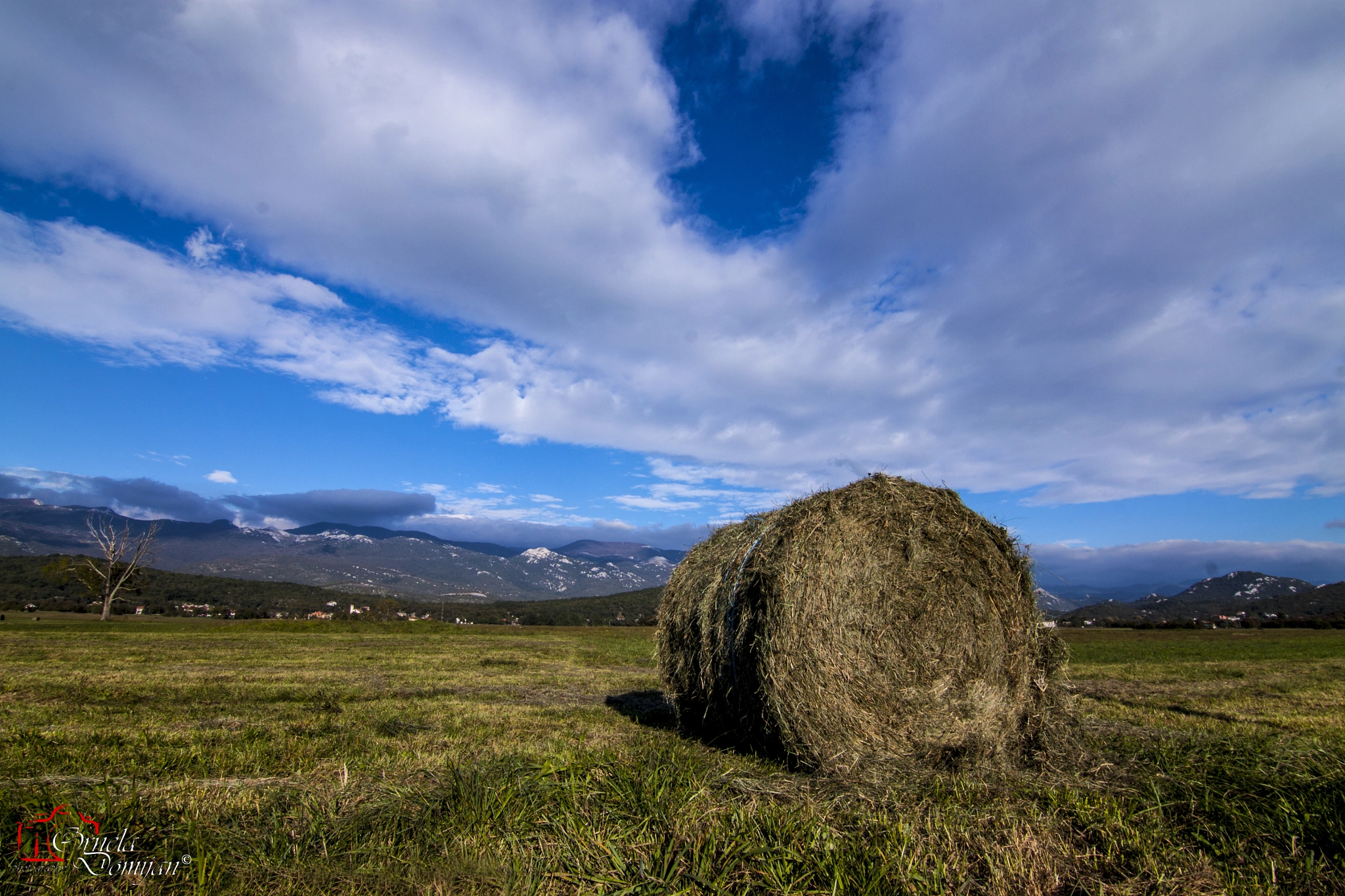 Canon EOS 500D (EOS Rebel T1i / EOS Kiss X3) sample photo. Hay landscape photography