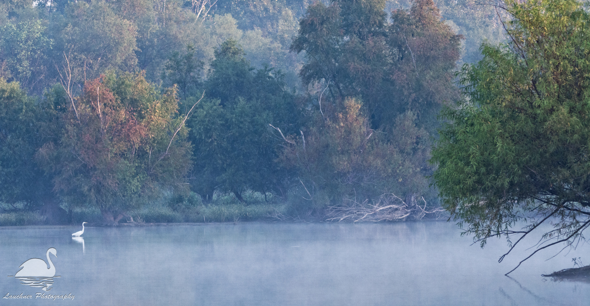 Sigma 150-600mm F5-6.3 DG OS HSM | C sample photo. Hazy peppenhorst branch photography