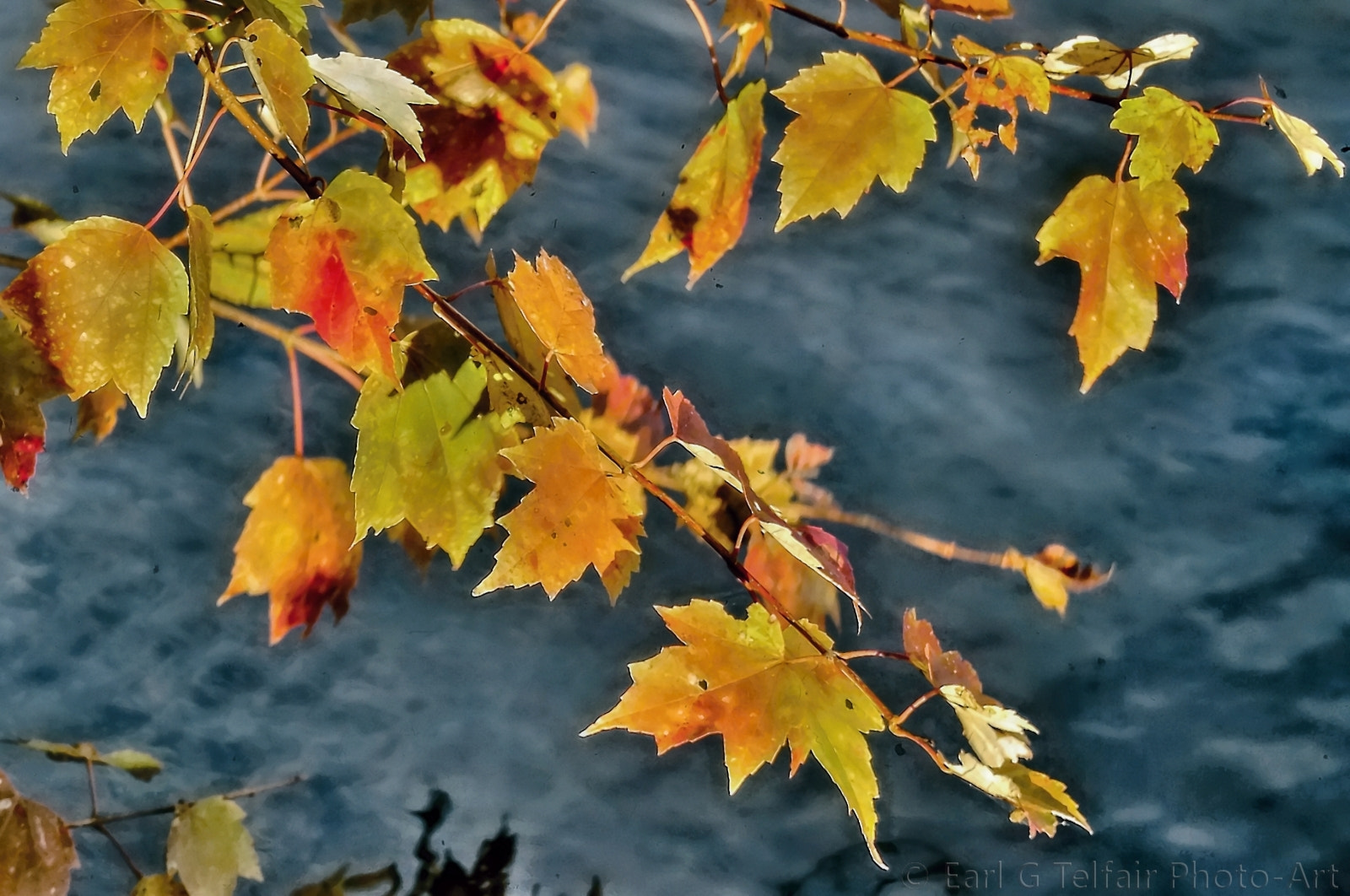 Canon EOS 500D (EOS Rebel T1i / EOS Kiss X3) sample photo. I'll be seeing you photography
