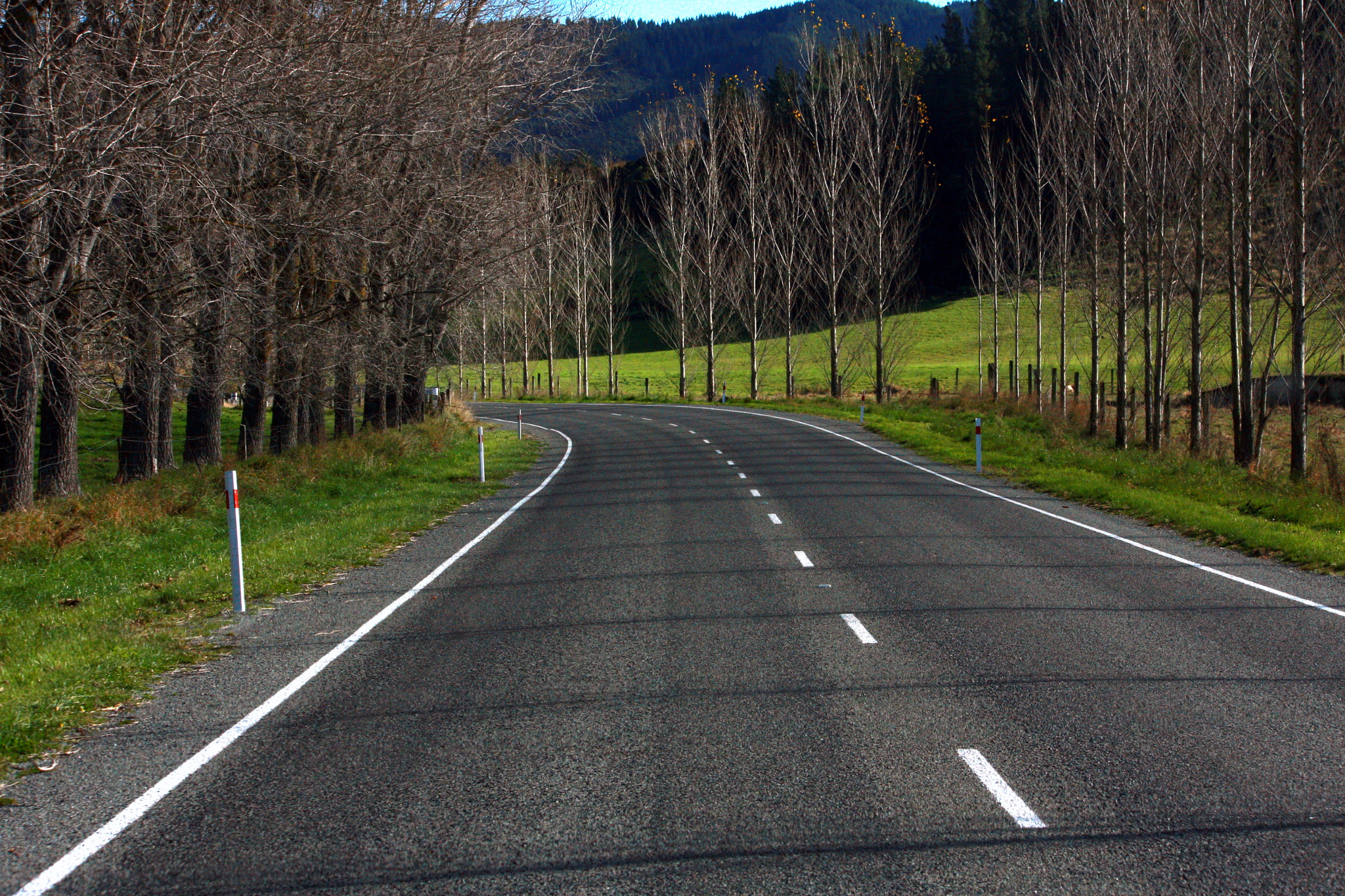 Canon EF-S 55-250mm F4-5.6 IS sample photo. Road symmetrical shadows photography