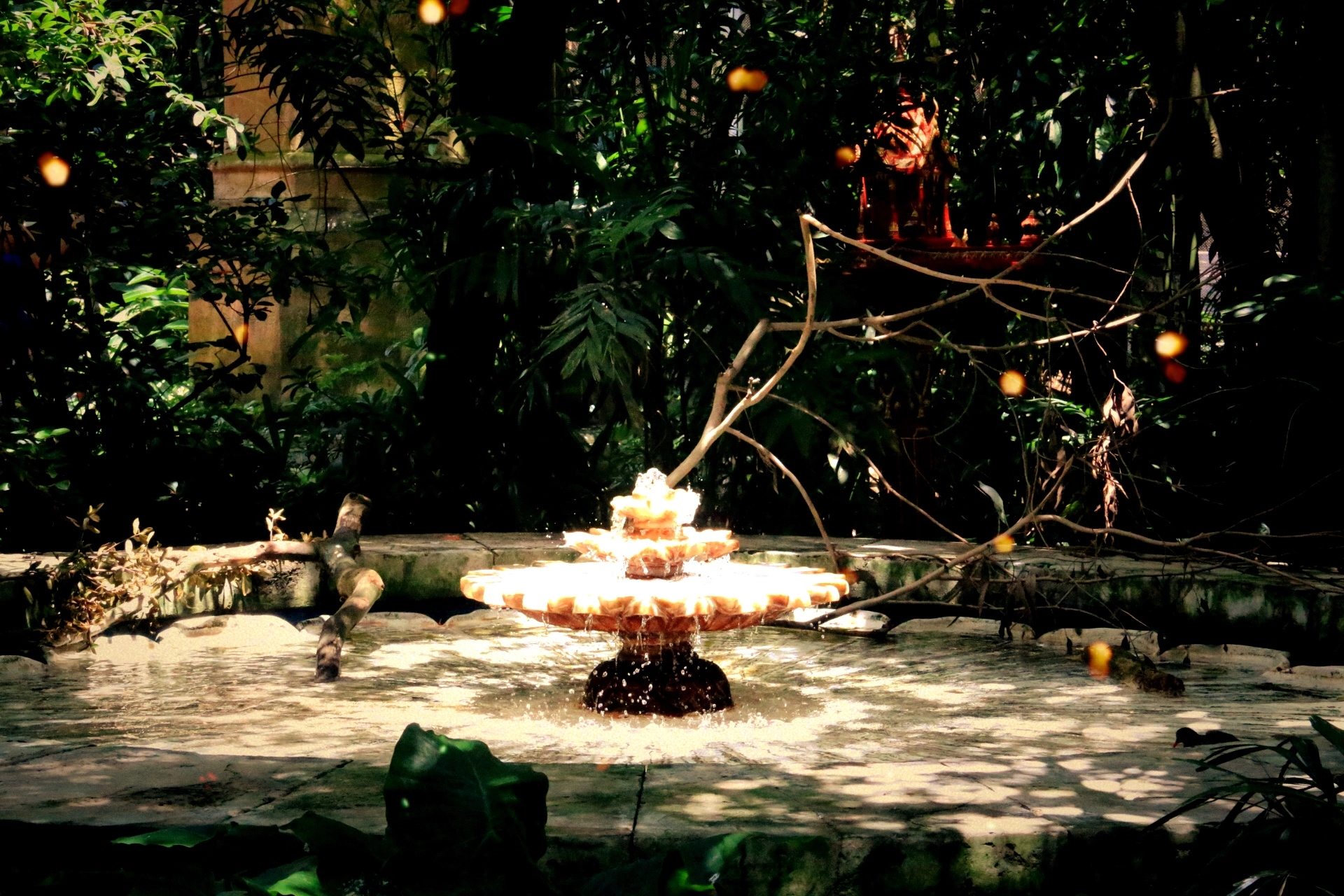 Canon EF-S 18-200mm F3.5-5.6 IS sample photo. Garden fountain photography