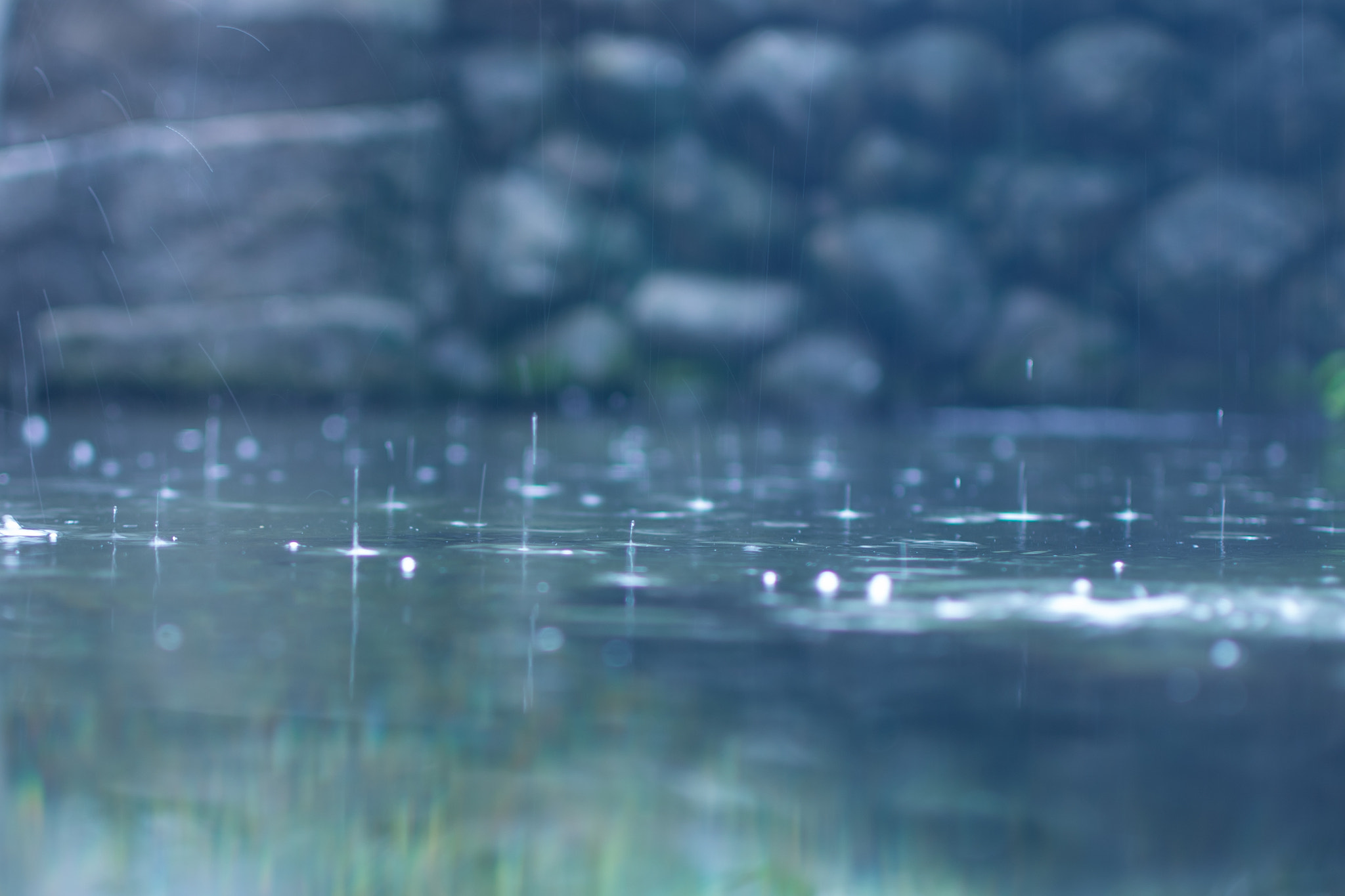 Nikon D600 sample photo. Soft rain photography