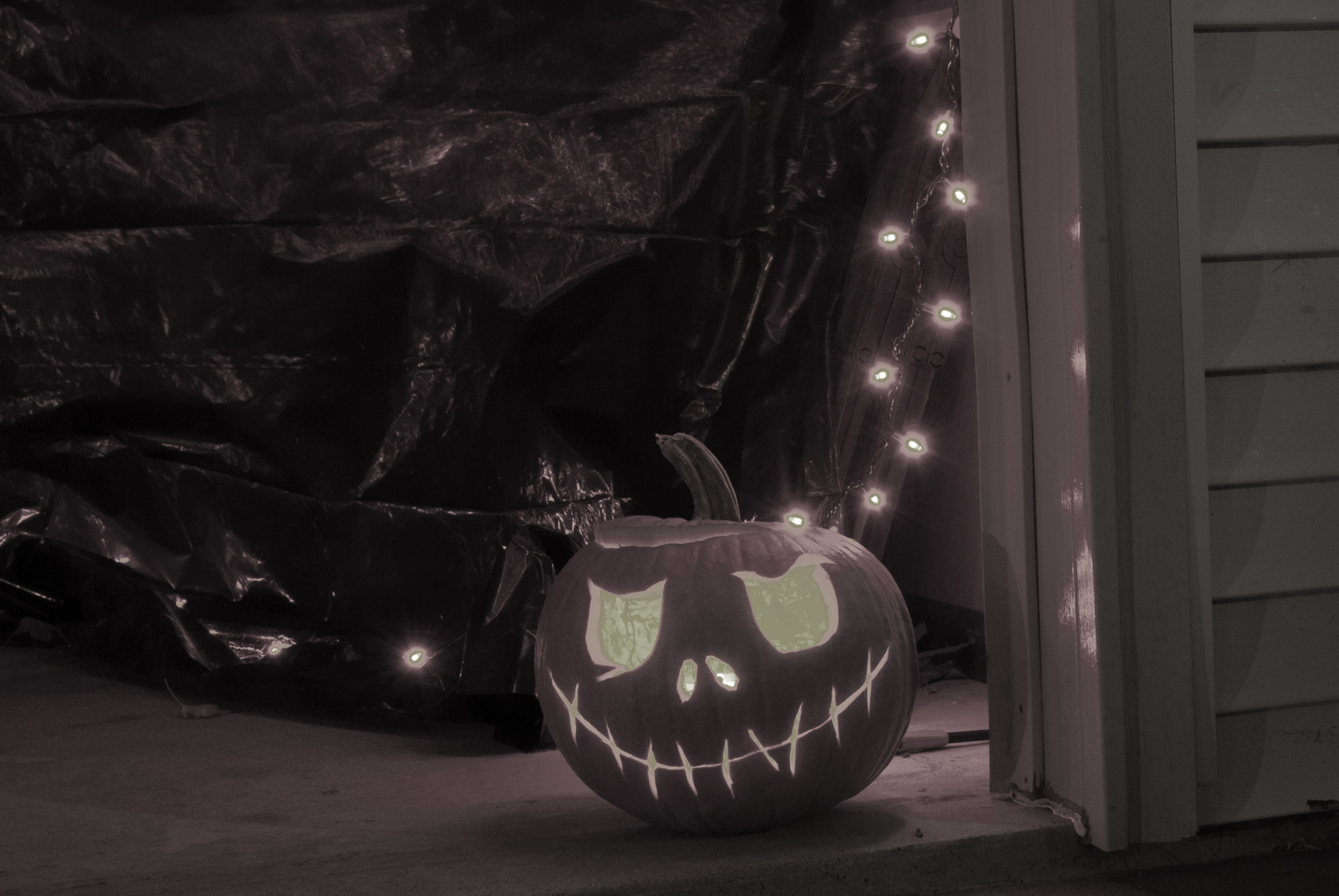 Nikon D200 sample photo. Yes photography