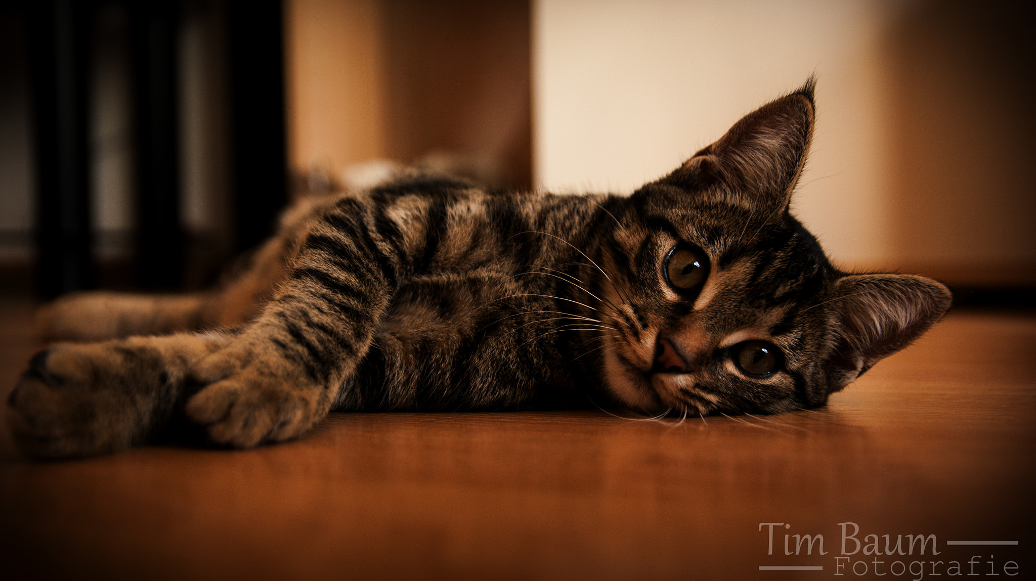 Sony Alpha DSLR-A350 + 17-50mm F2.8 sample photo