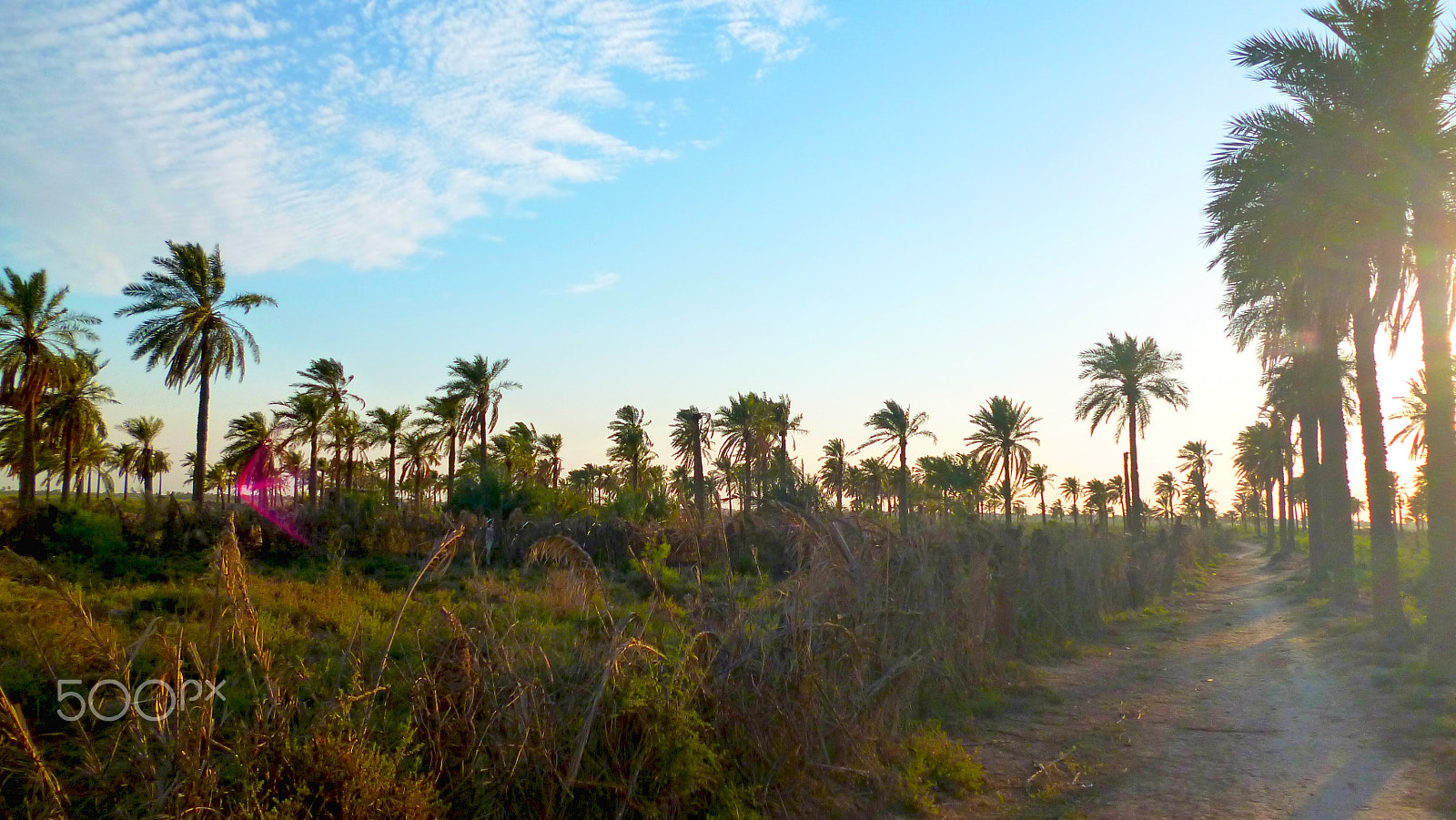 Panasonic DMC-FH2 sample photo. Iraq-bsra photography