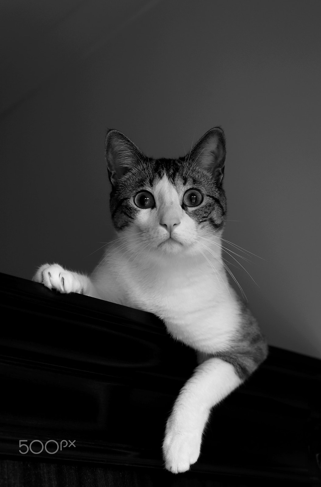 Canon EF 24-105mm F3.5-5.6 IS STM sample photo. Portrait photography