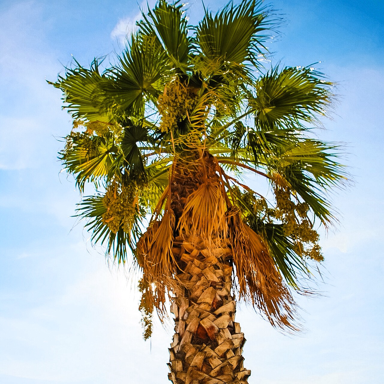 Canon 24-70mm sample photo. Santa susana beach photography