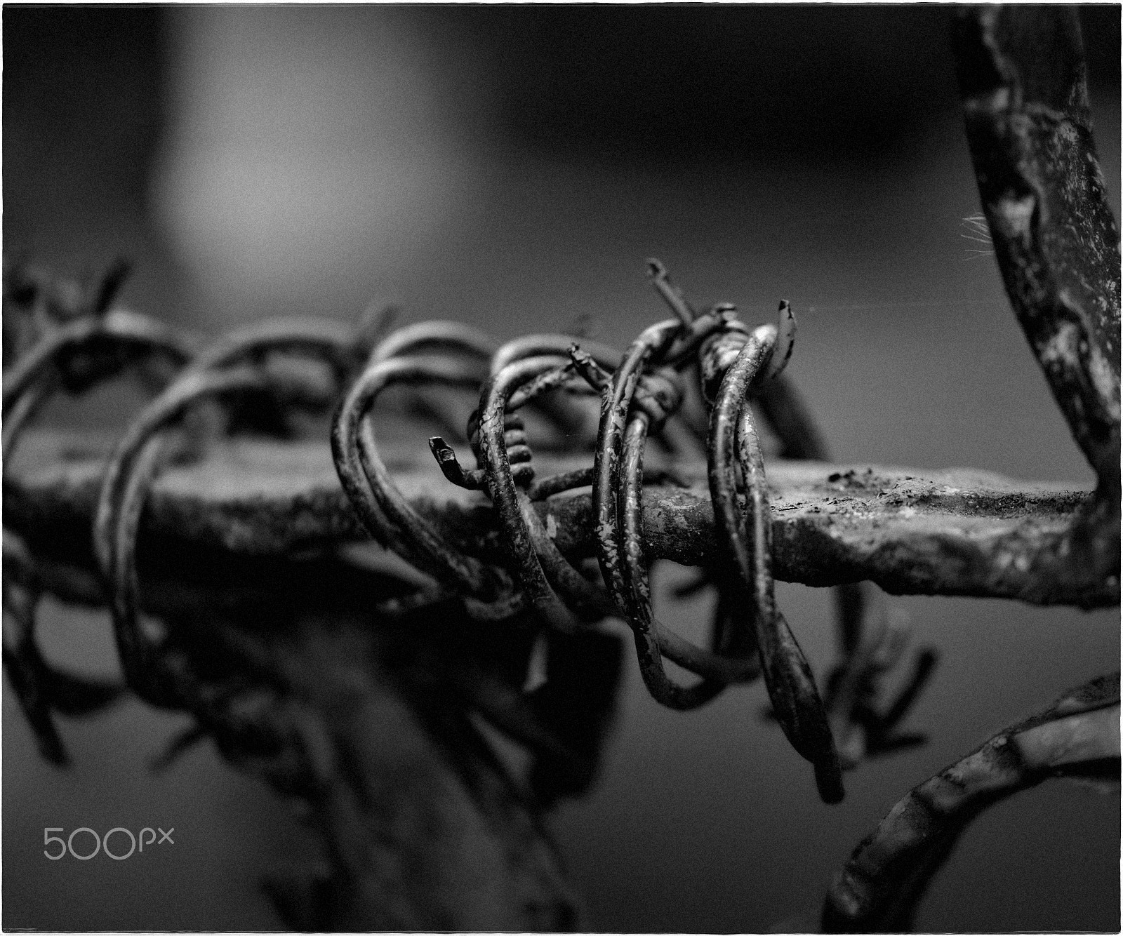Sigma 105mm F2.8 EX DG OS HSM sample photo. Secured photography