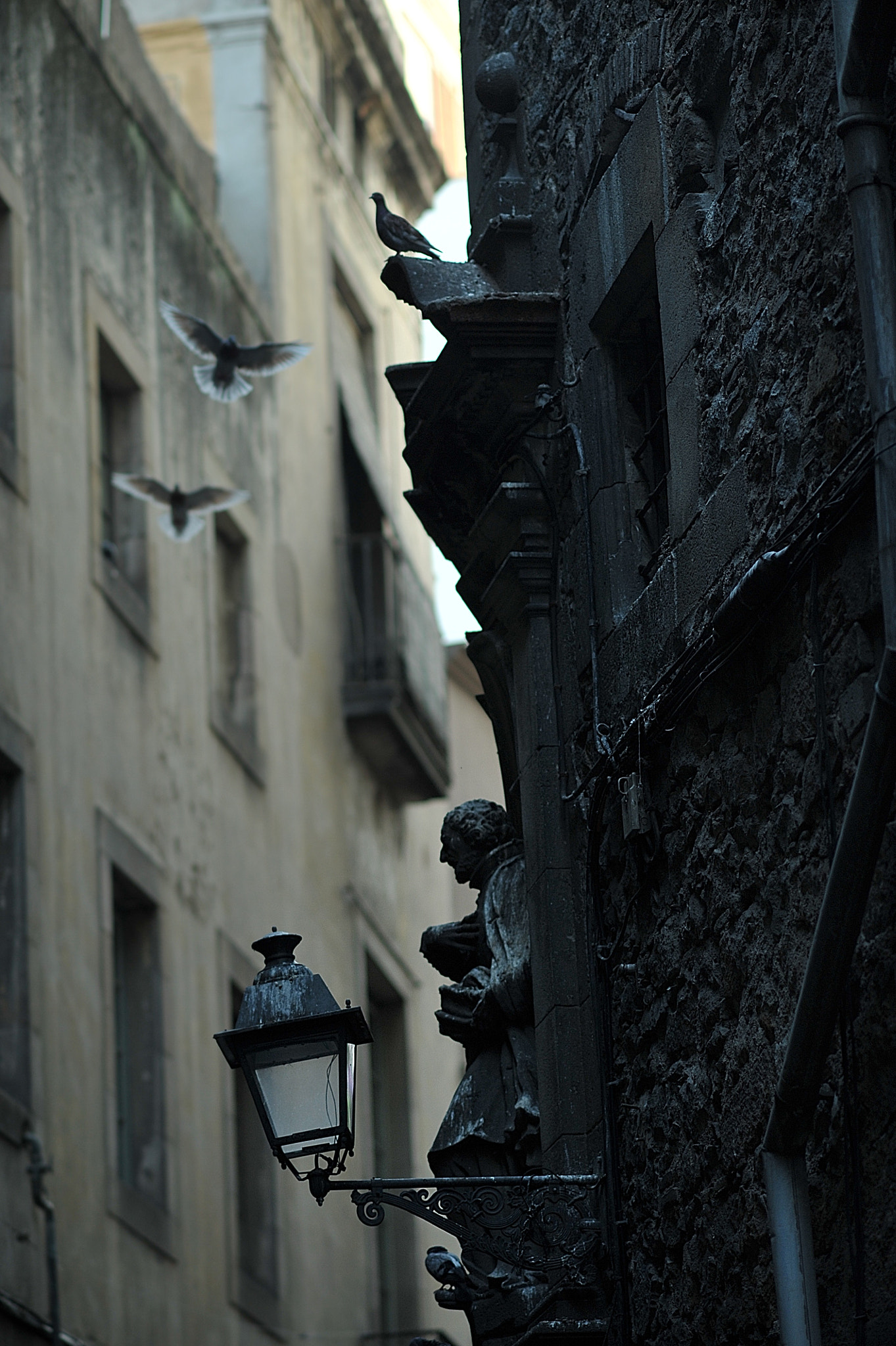 Nikon D700 + AF DC-Nikkor 135mm f/2D sample photo. A keeper photography