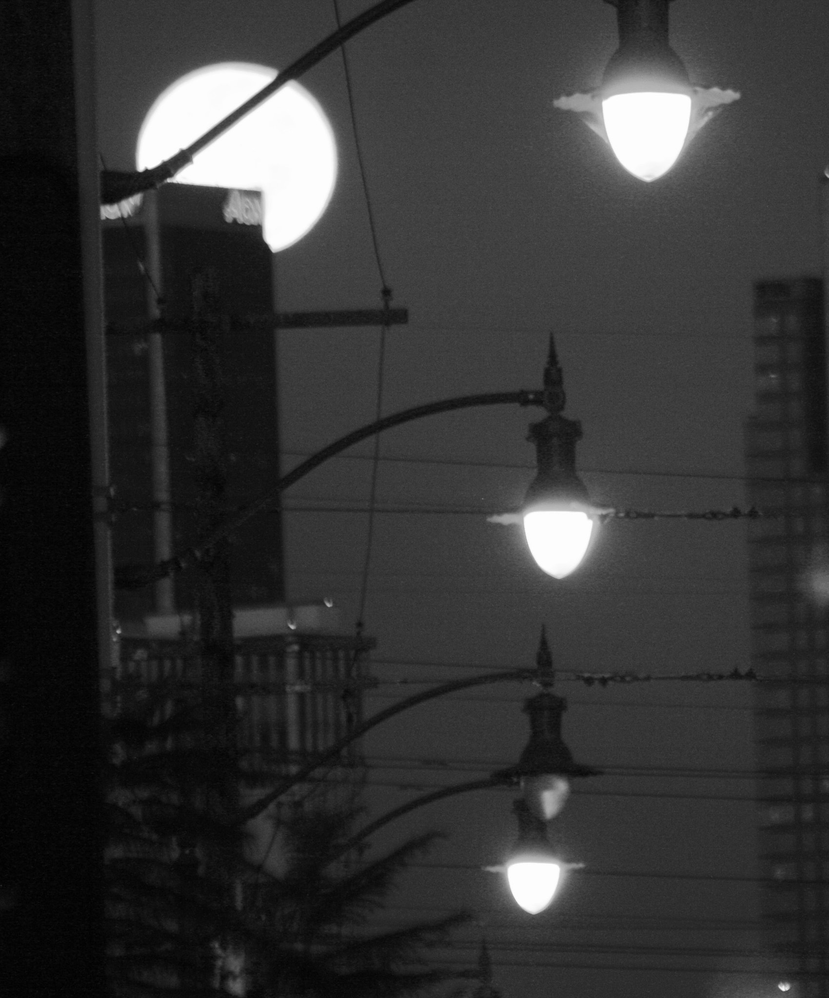 Canon EOS 1000D (EOS Digital Rebel XS / EOS Kiss F) sample photo. City lighting photography