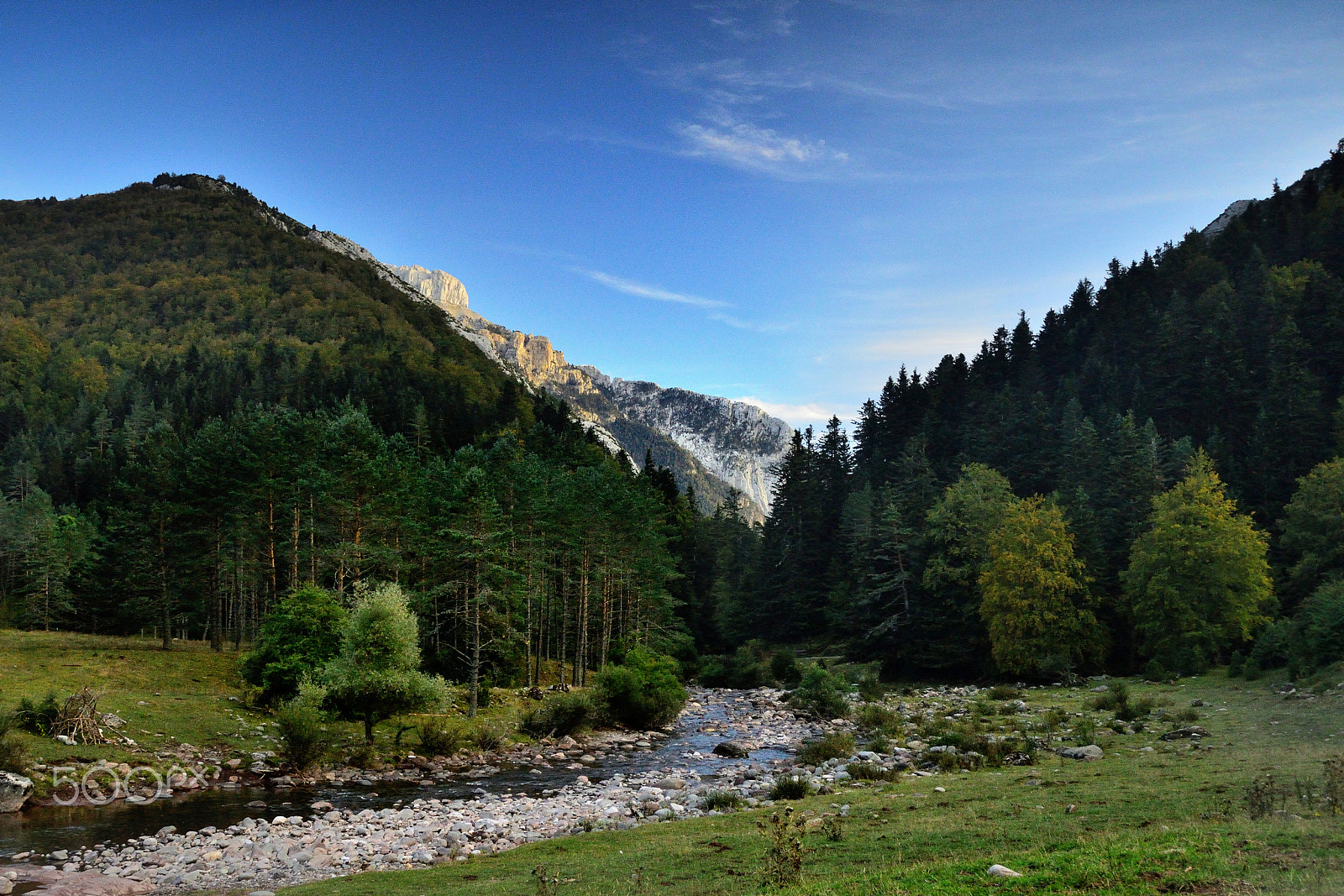 Nikon D3200 + Sigma 18-200mm F3.5-6.3 II DC OS HSM sample photo. River of the forest photography