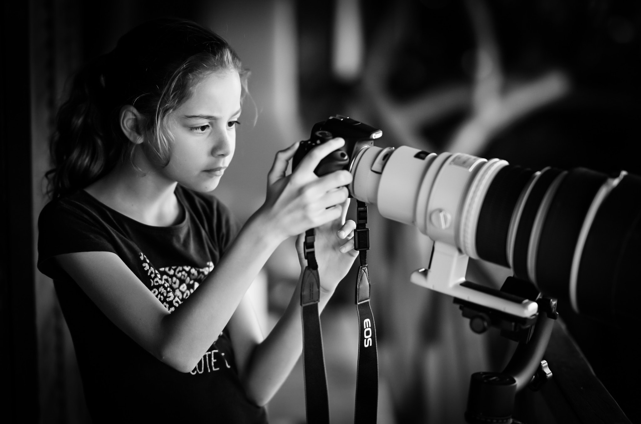 Sony FE 85mm F1.4 GM sample photo. Allégorie ´ photography
