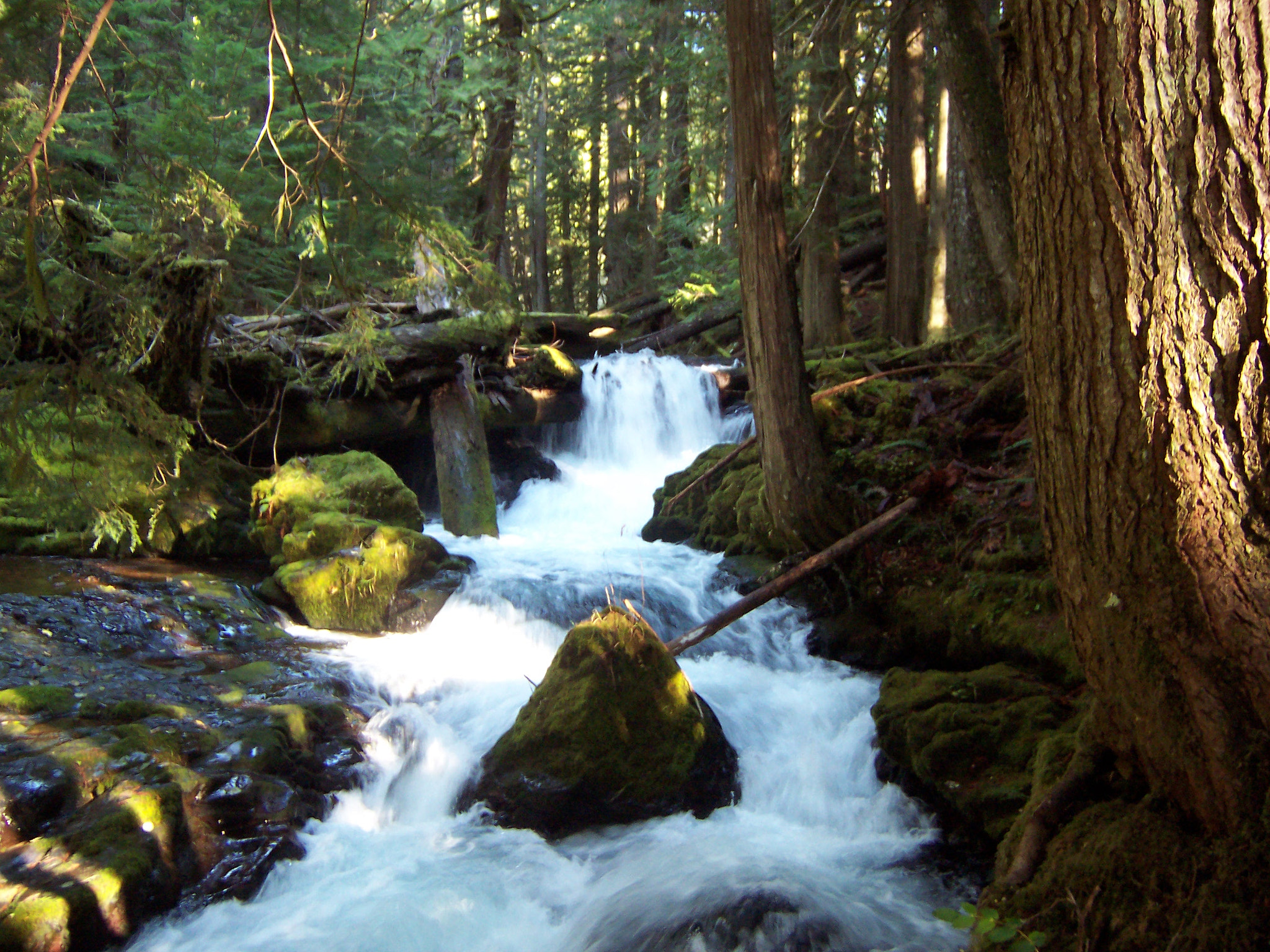 Kodak DX6440 ZOOM DIGITAL CAMERA sample photo. Big huckleberry creek, wa photography