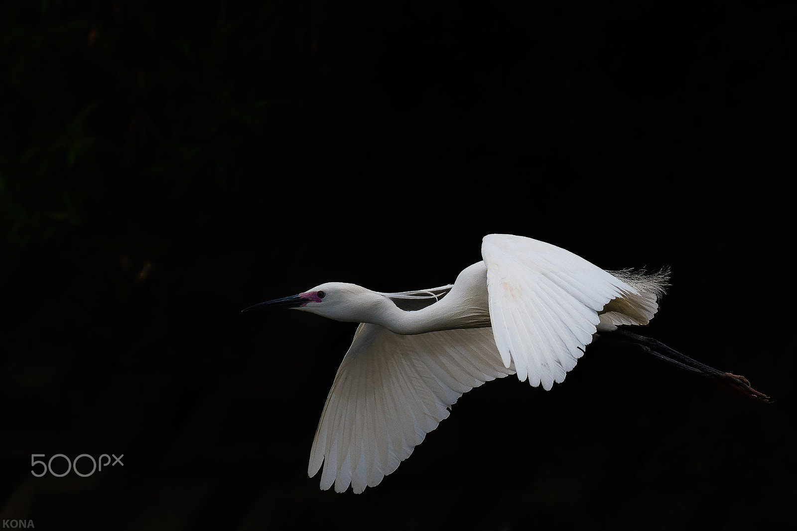 Nikon AF-S Nikkor 400mm F2.8G ED VR II sample photo. Sagi photography
