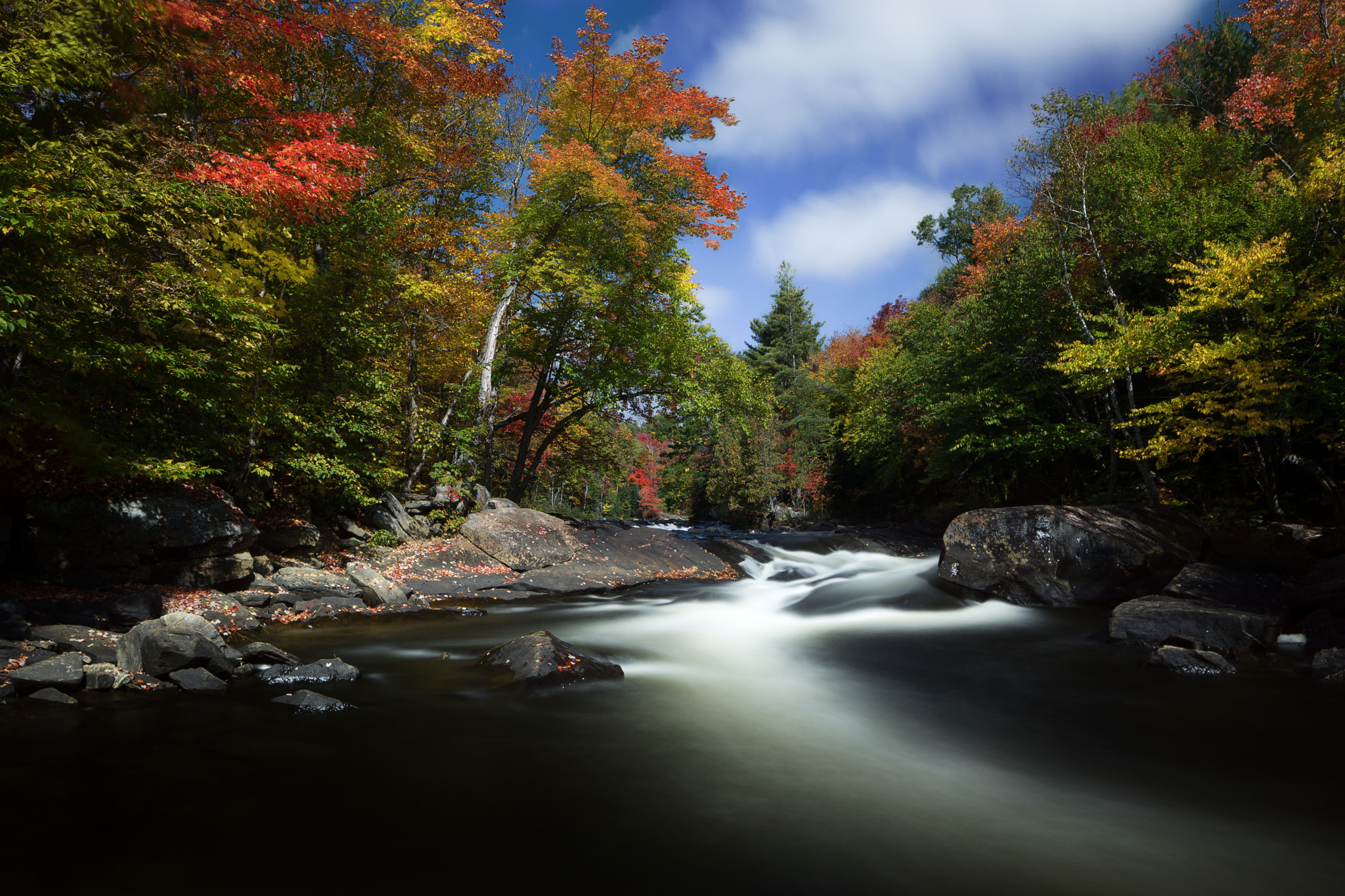 Canon TS-E 24.0mm f/3.5 L II sample photo. Wisps of autumn photography