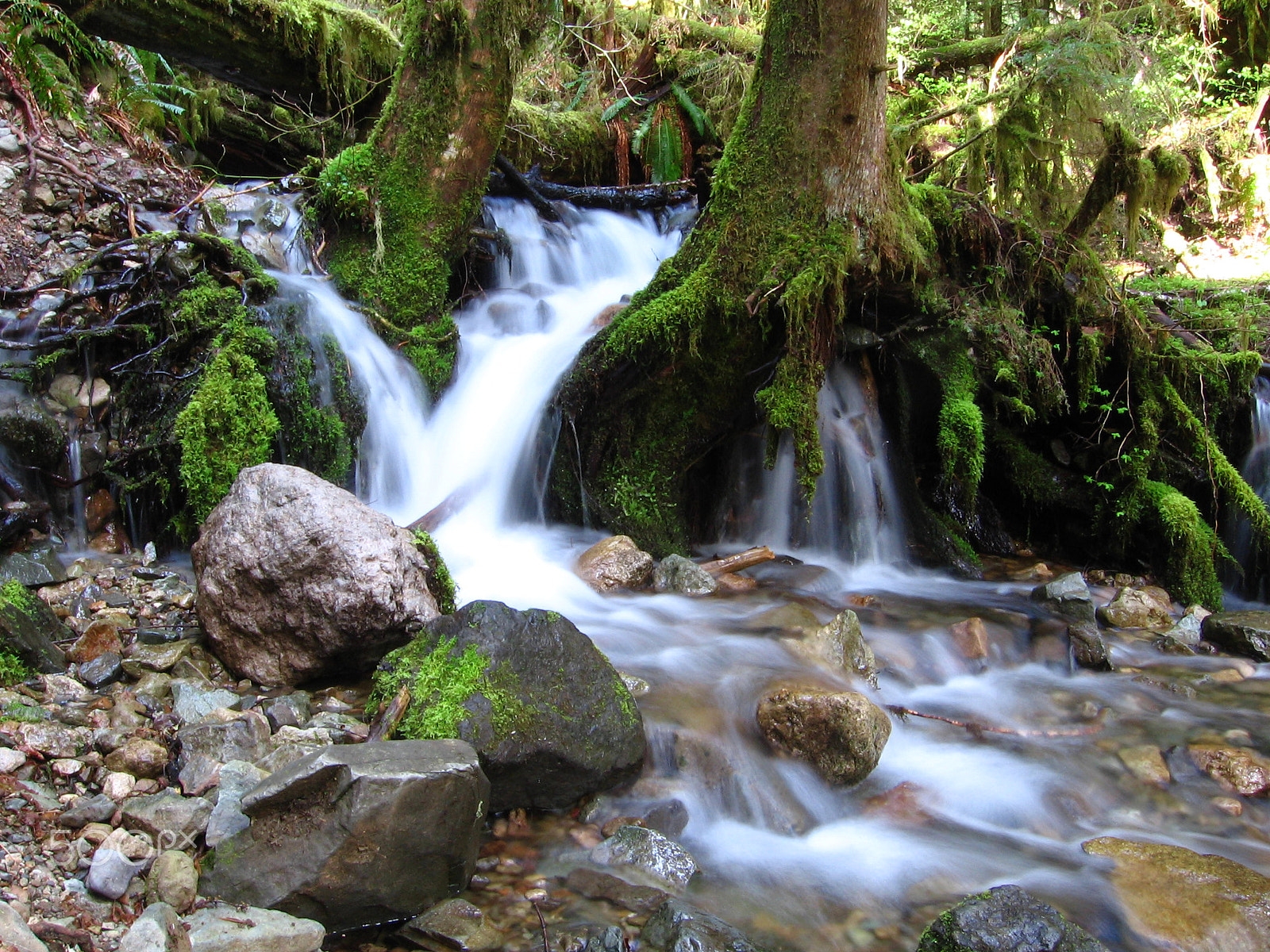 Canon POWERSHOT A520 sample photo. Oregon's water photography