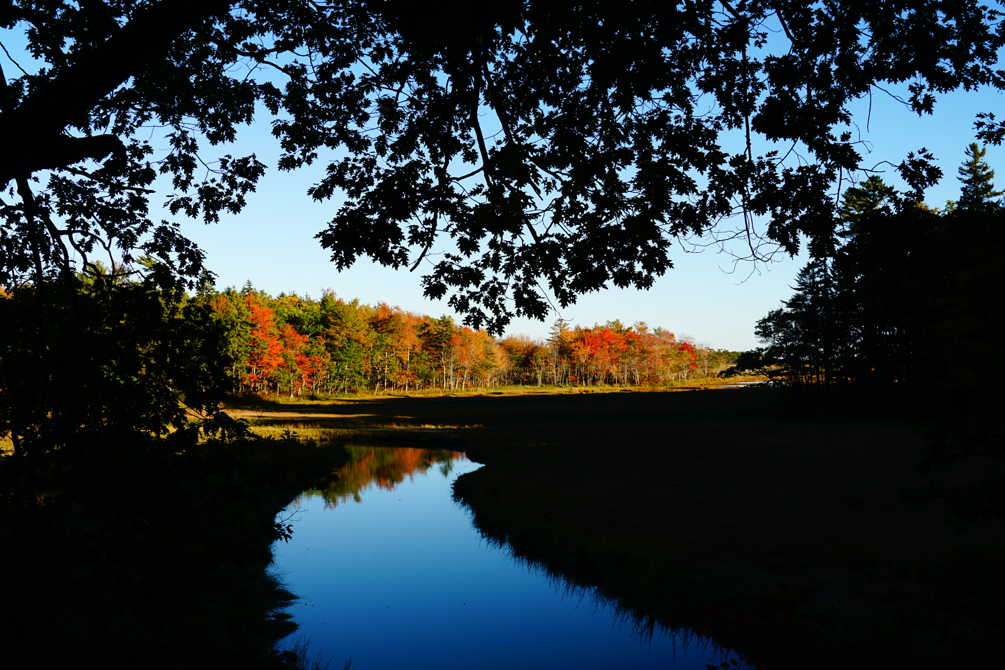 Sony FE 24-240mm F3.5-6.3 OSS sample photo. Autumn in maine photography