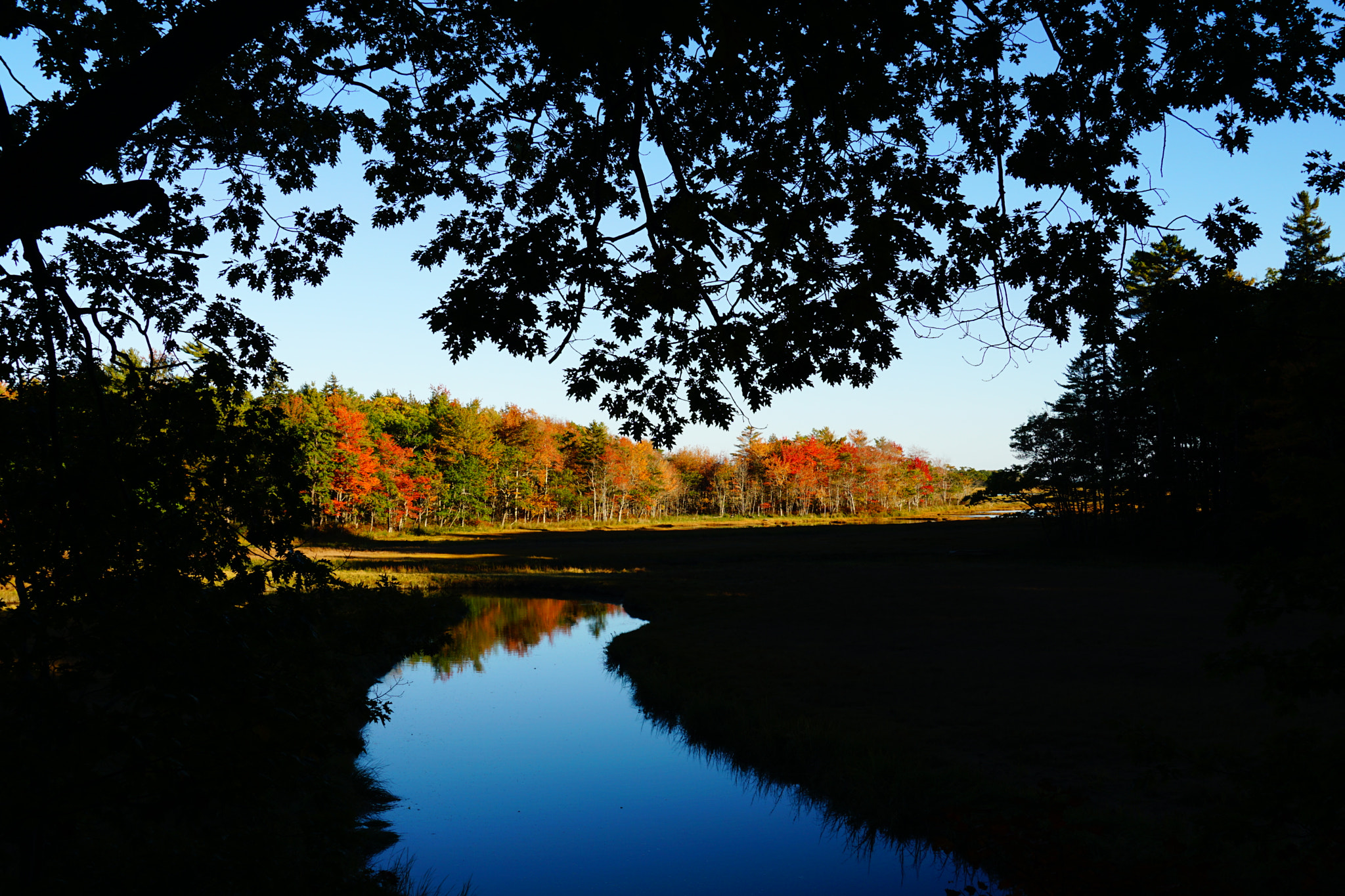 Sony a6000 sample photo. Autumn in maine photography