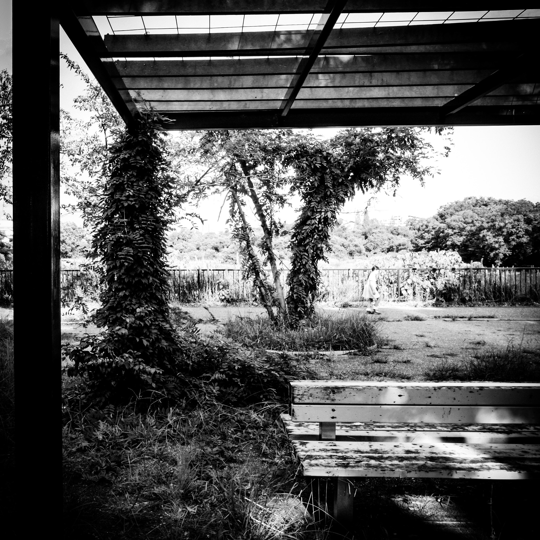 RICOH GR LENS sample photo. Memento photography