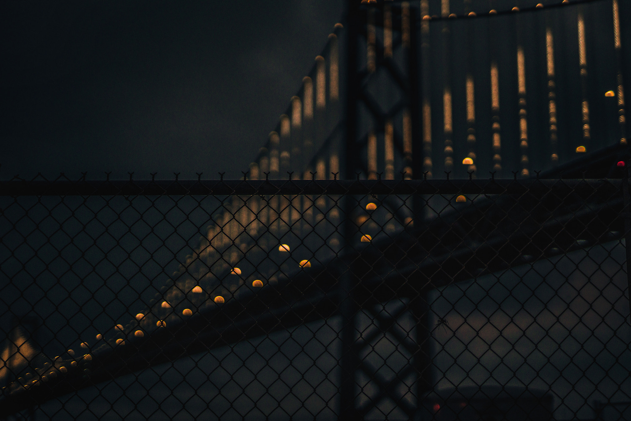 Sony a7R II + Canon 50mm F1.4 DG HSM | Art 014 sample photo. ✪ bay bridge ✪ photography