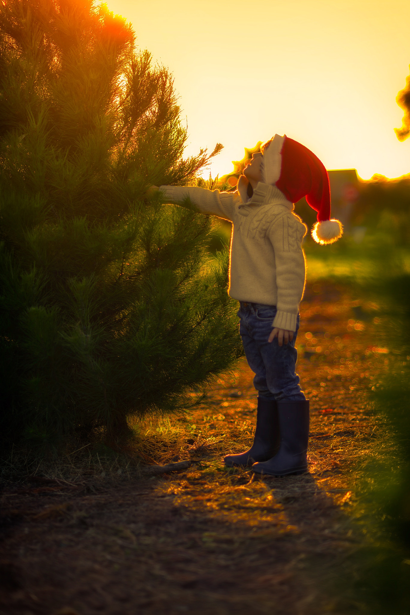 Nikon D600 + AF Nikkor 85mm f/1.8 sample photo. Christmas past photography