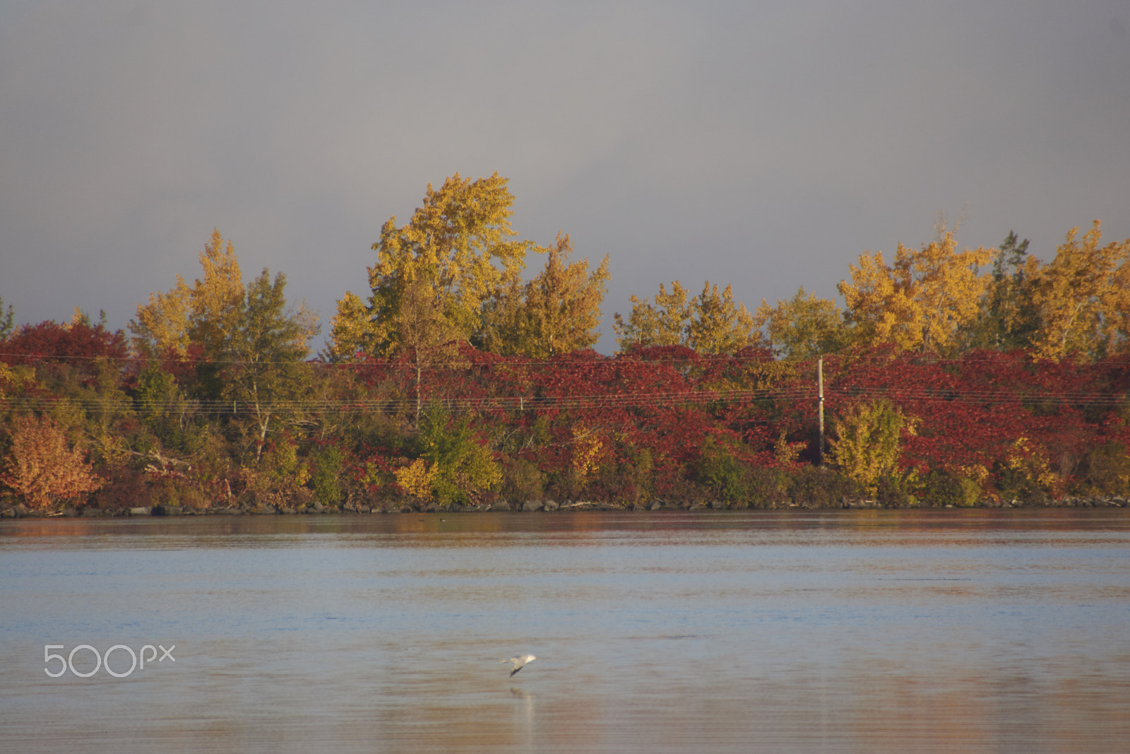 Sony SLT-A65 (SLT-A65V) + DT 18-270mm F3.5-6.3 SSM sample photo. Autumn colours in canada photography