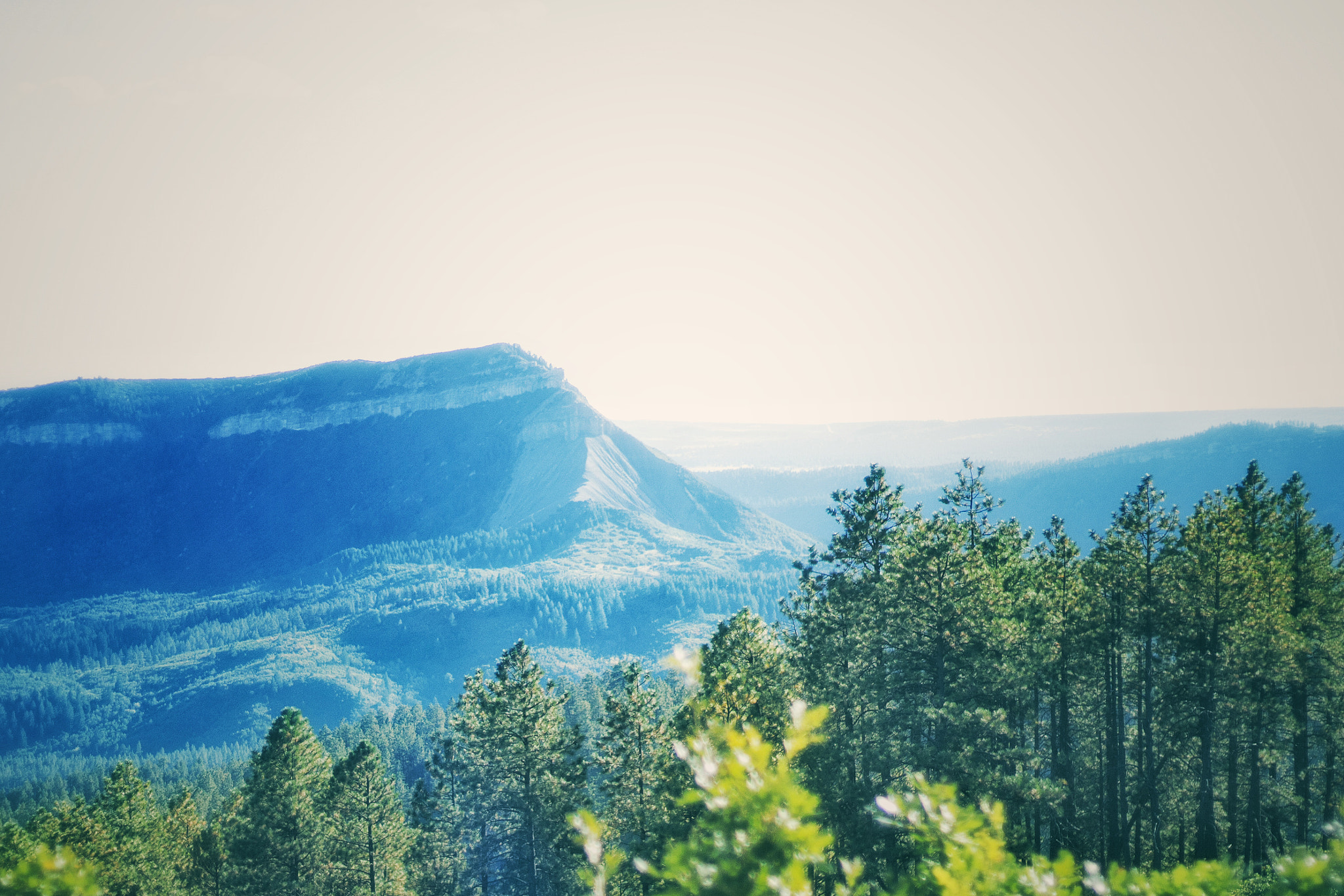 Canon EOS 100D (EOS Rebel SL1 / EOS Kiss X7) sample photo. Durango, co photography