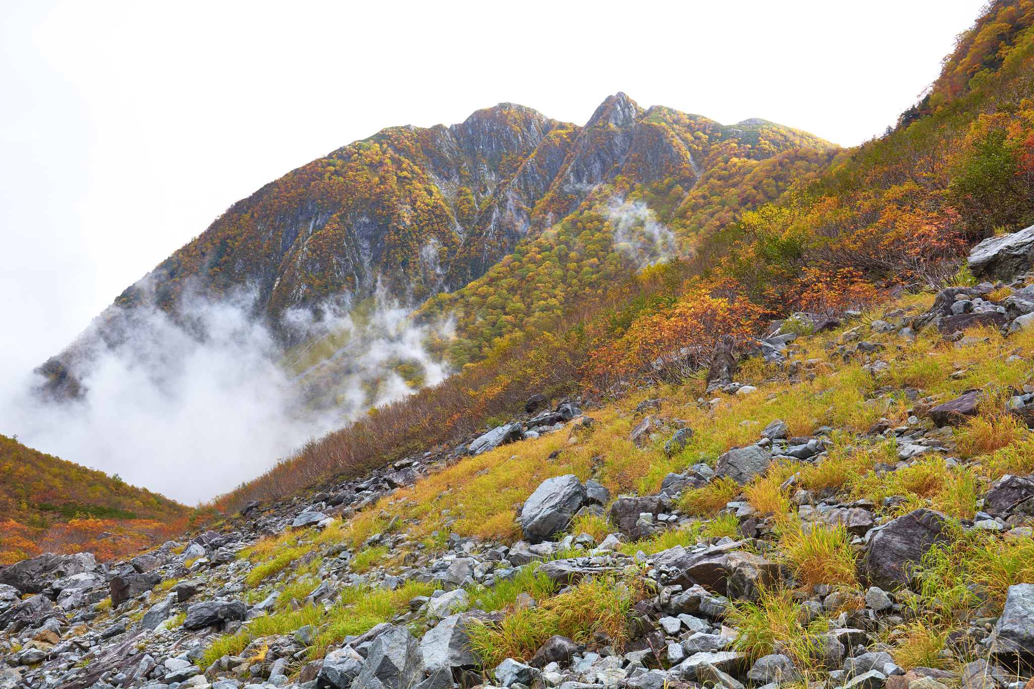 Canon EOS 5DS R + Canon EF 16-35mm F4L IS USM sample photo. Gilded with an autumn coloring photography