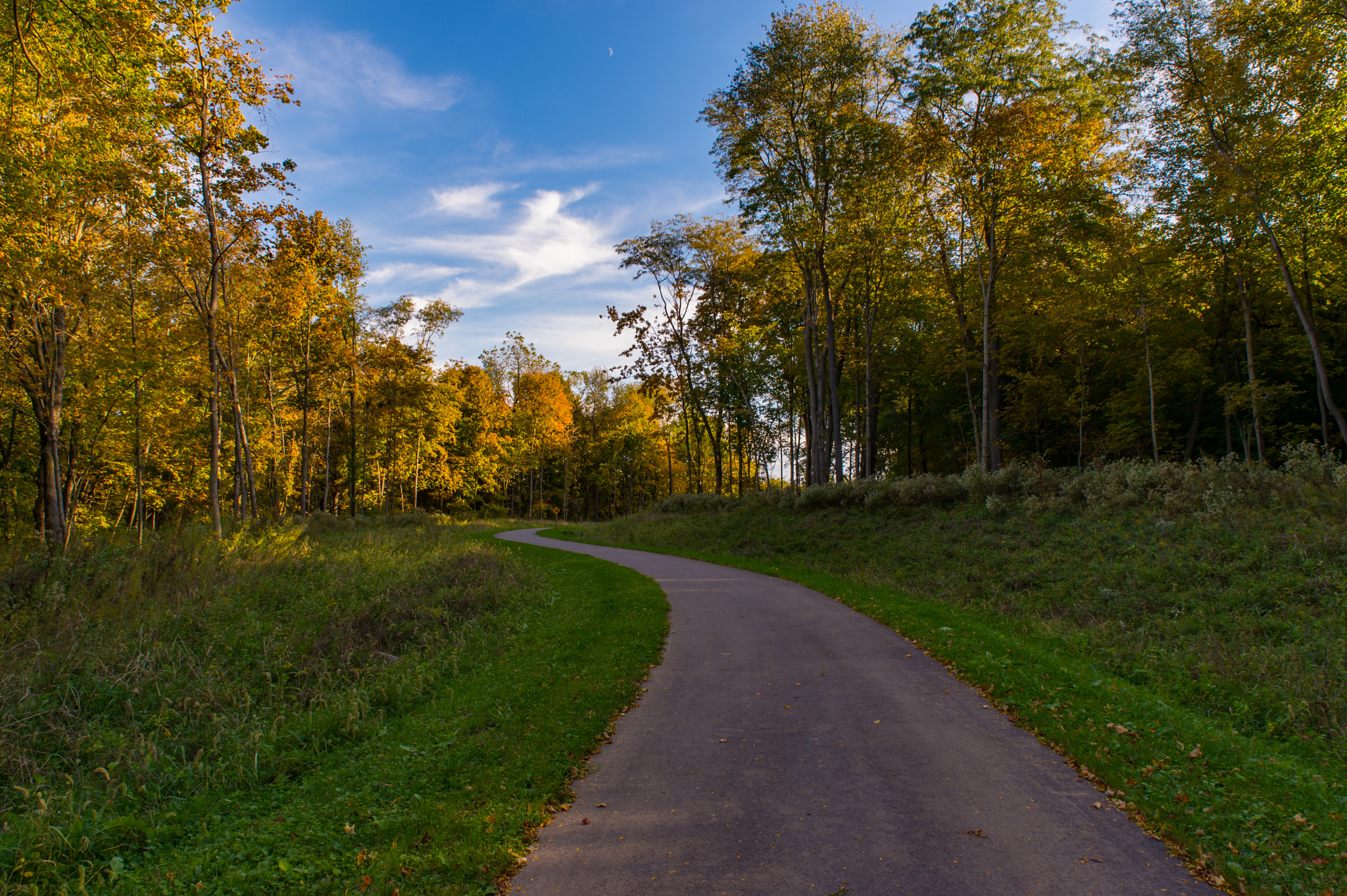 Nikon Df sample photo. Footpath photography