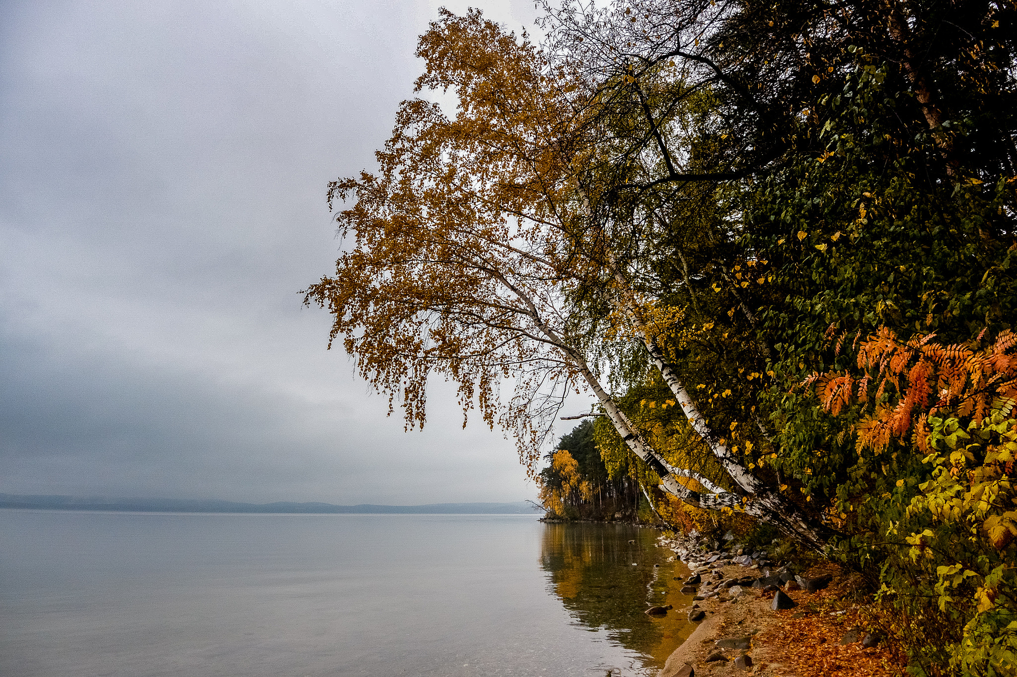 Nikon 1 J3 sample photo. Turgoyak lake photography