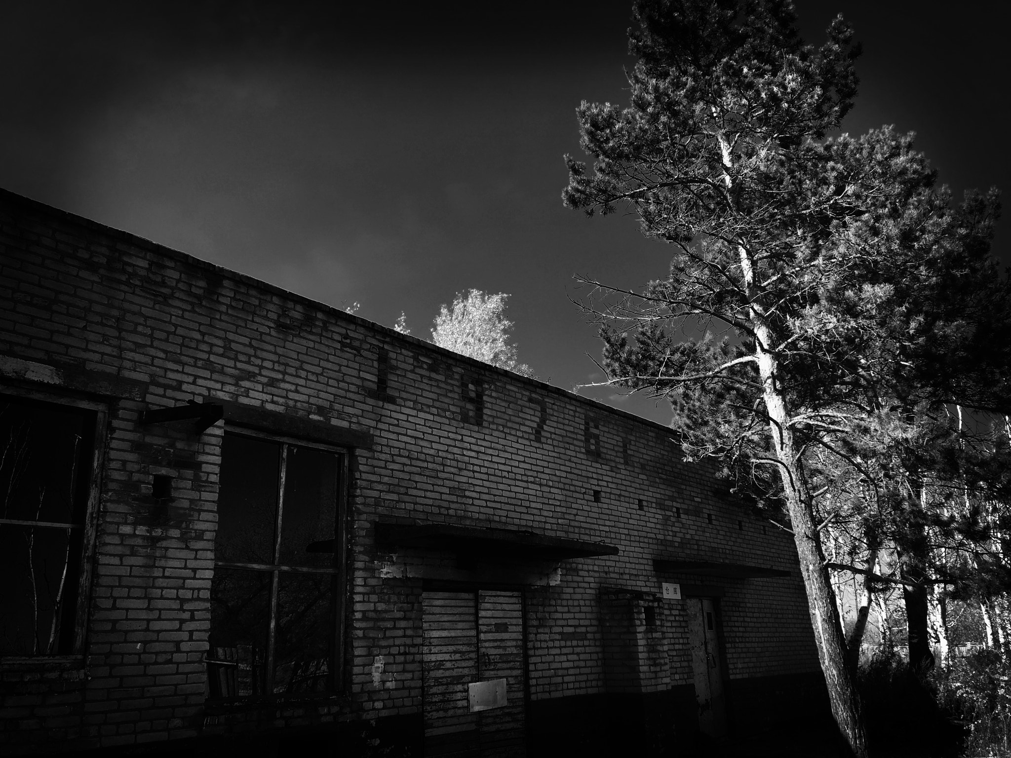 Blackie Camera sample photo. On the island of the real east china photography