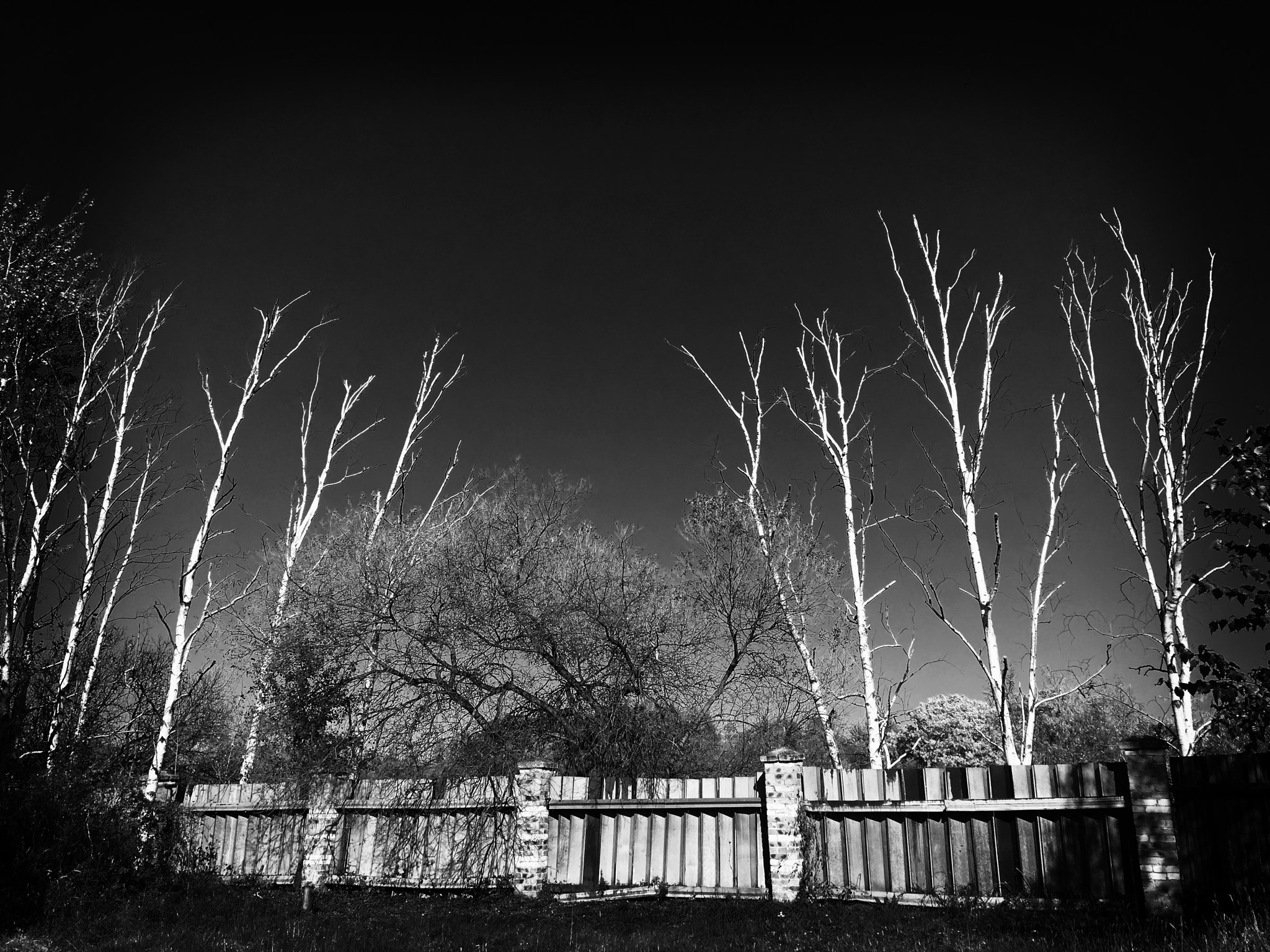 Blackie Camera sample photo. On the island of the real east china photography