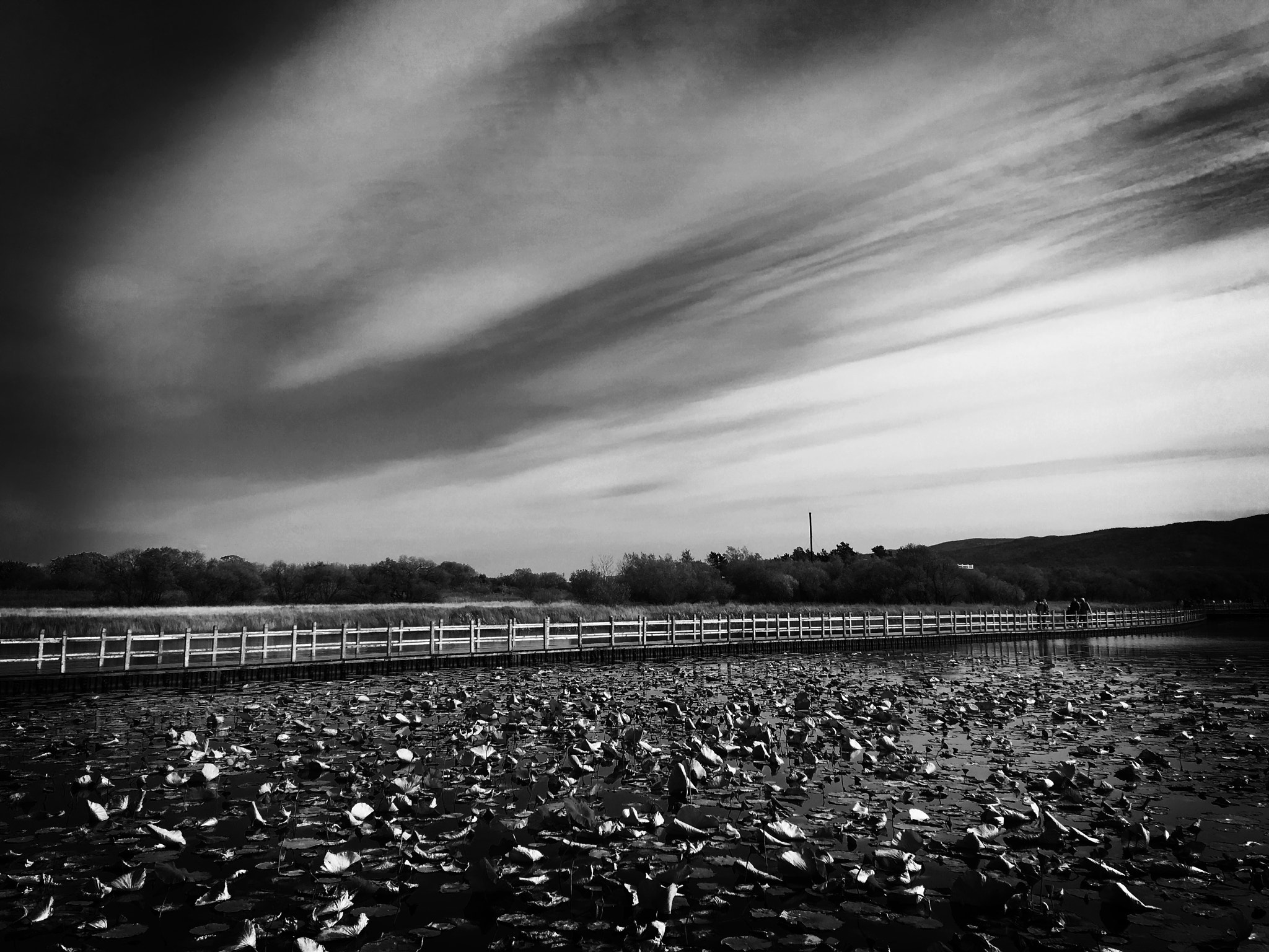 Blackie Camera sample photo. On the island of the real east china photography