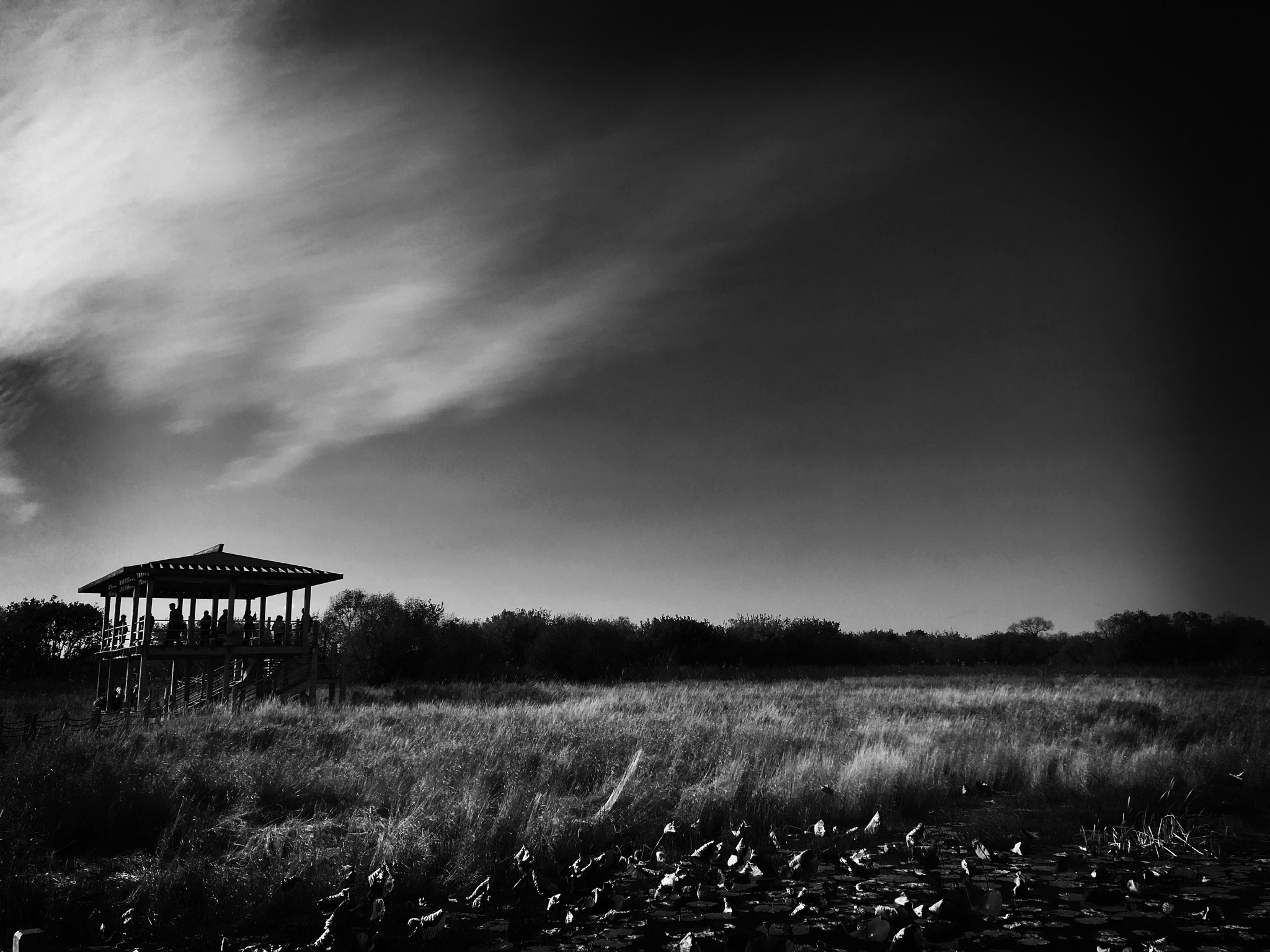 Blackie Camera sample photo. On the island of the real east china photography