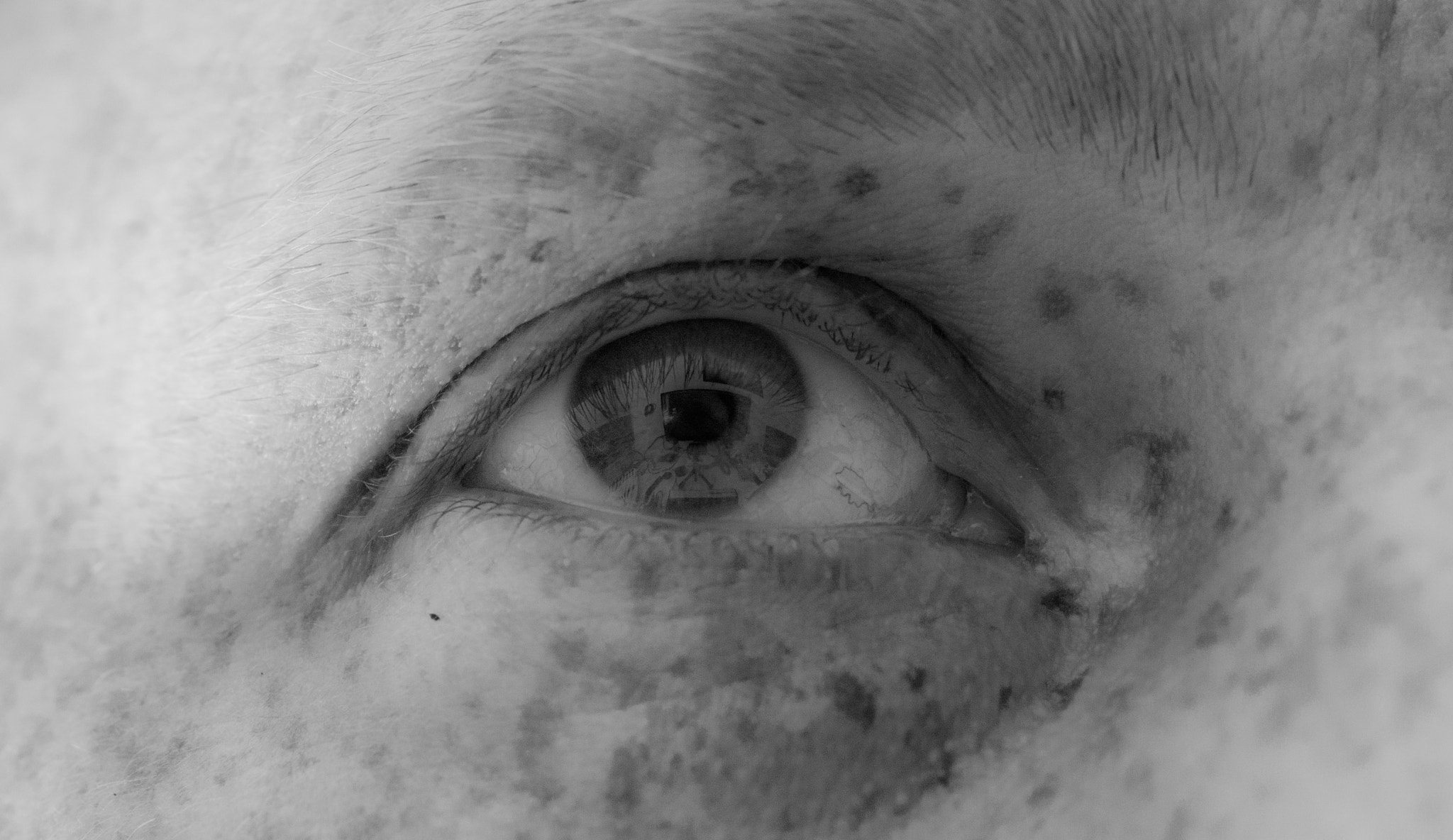 Sigma 150mm F2.8 EX DG OS Macro HSM sample photo. Our connected world photography