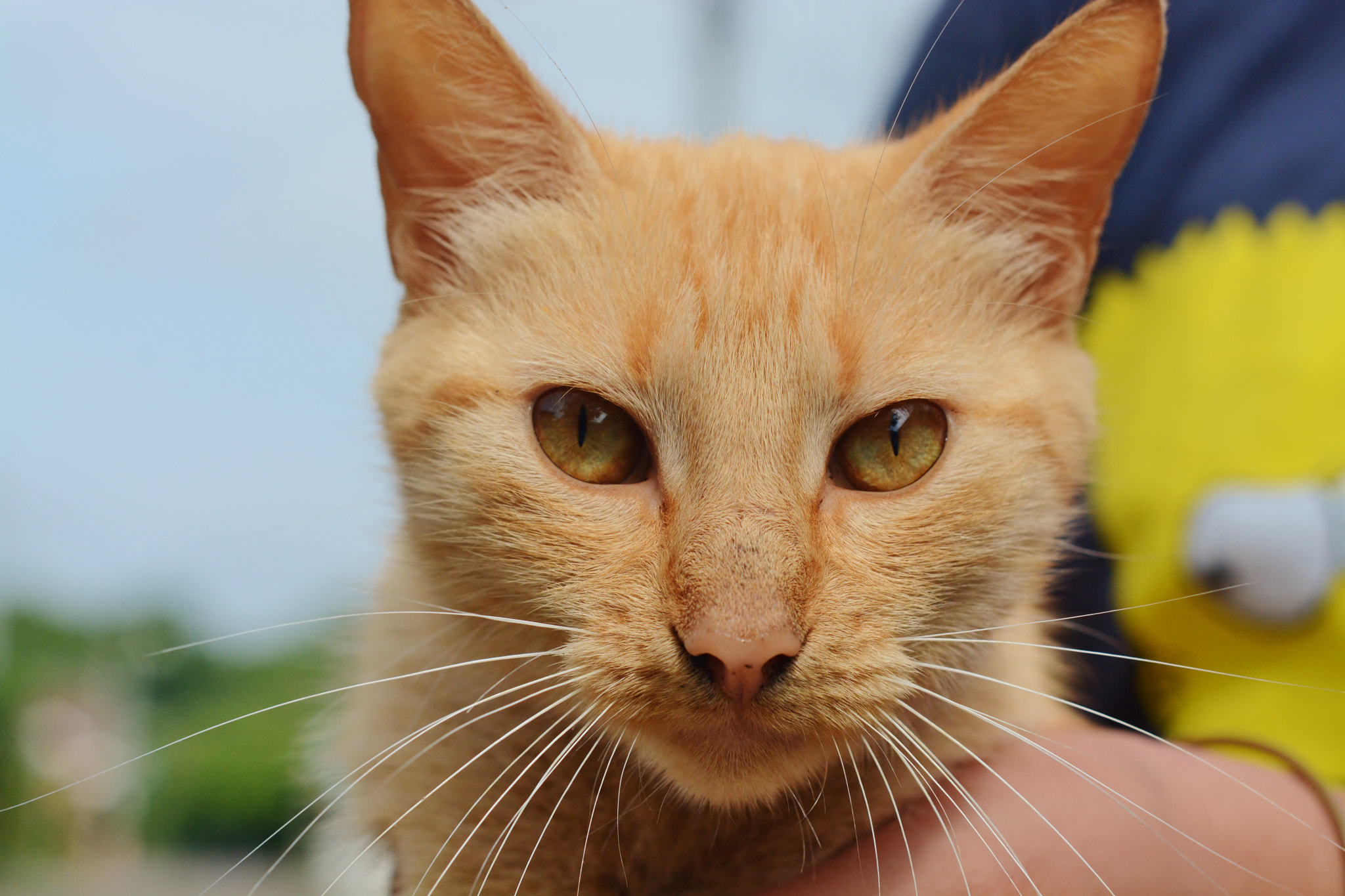 Nikon D7100 + AF Nikkor 50mm f/1.8 sample photo. Dsc photography