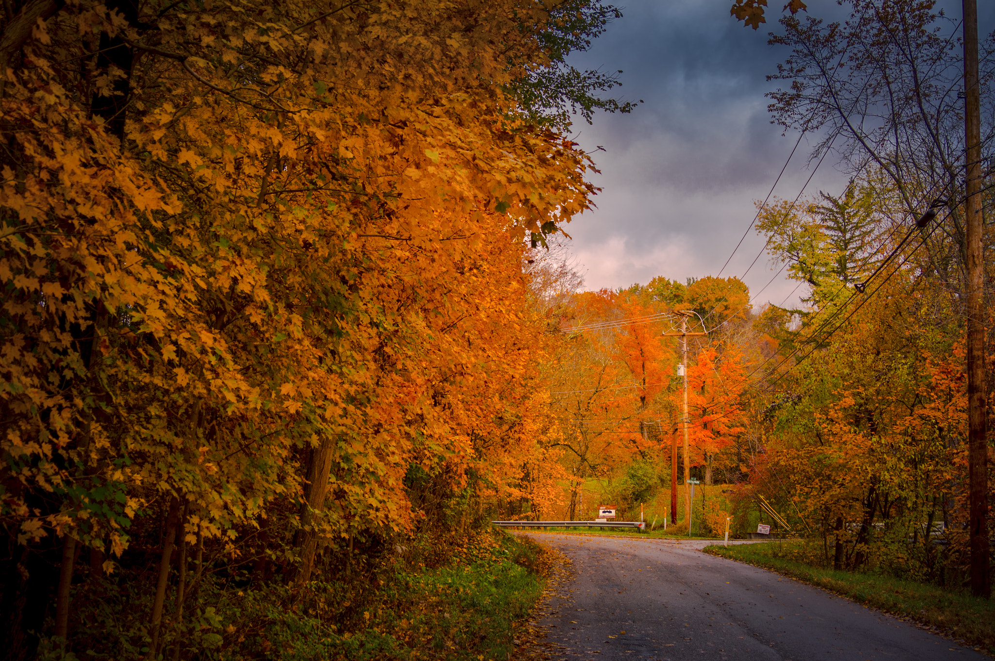 Olympus OM-D E-M5 sample photo. Fall photography
