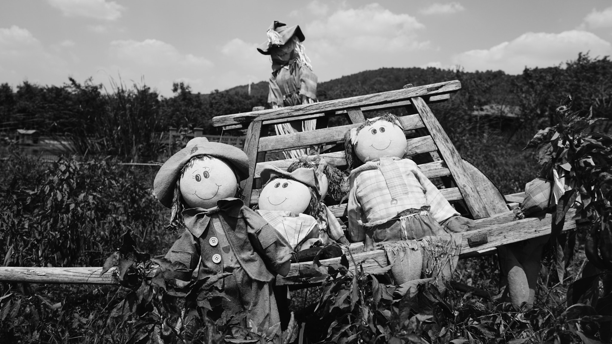 Sony a6000 sample photo. Scarecrow photography