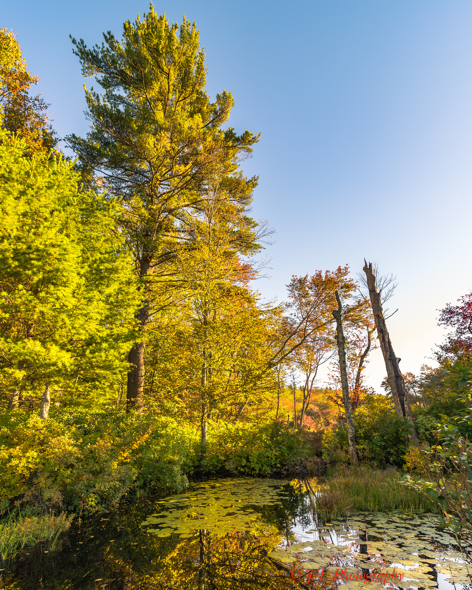 Tokina AT-X 16-28mm F2.8 Pro FX sample photo. 7 october 2015 photography