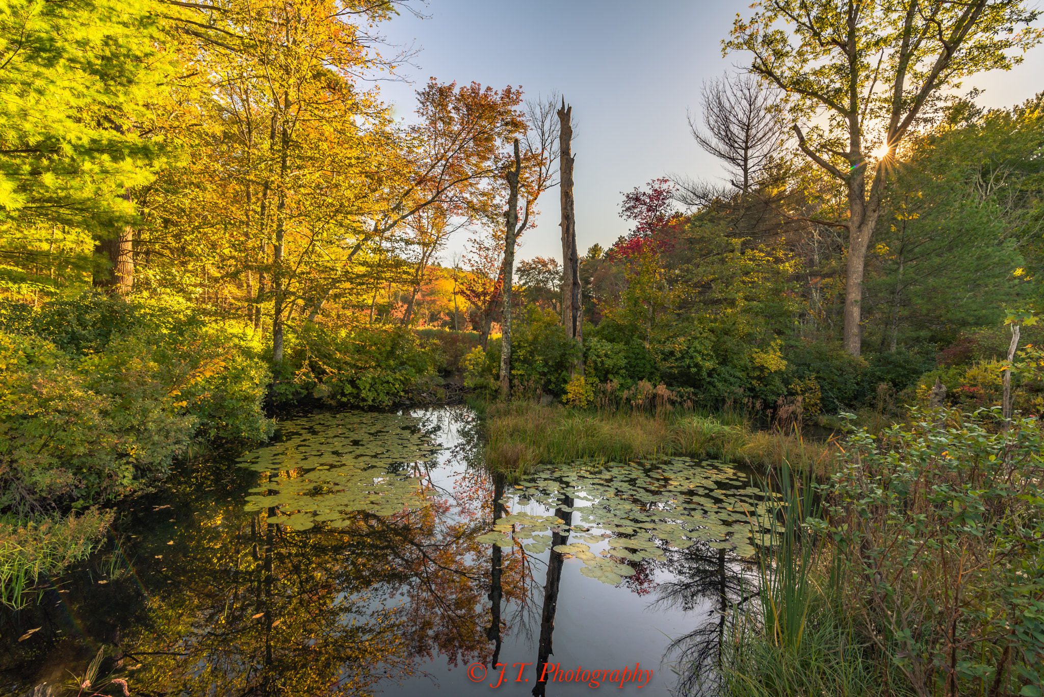 Tokina AT-X 16-28mm F2.8 Pro FX sample photo. 7 october 2015 photography